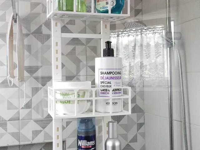 Porte accessoires douche