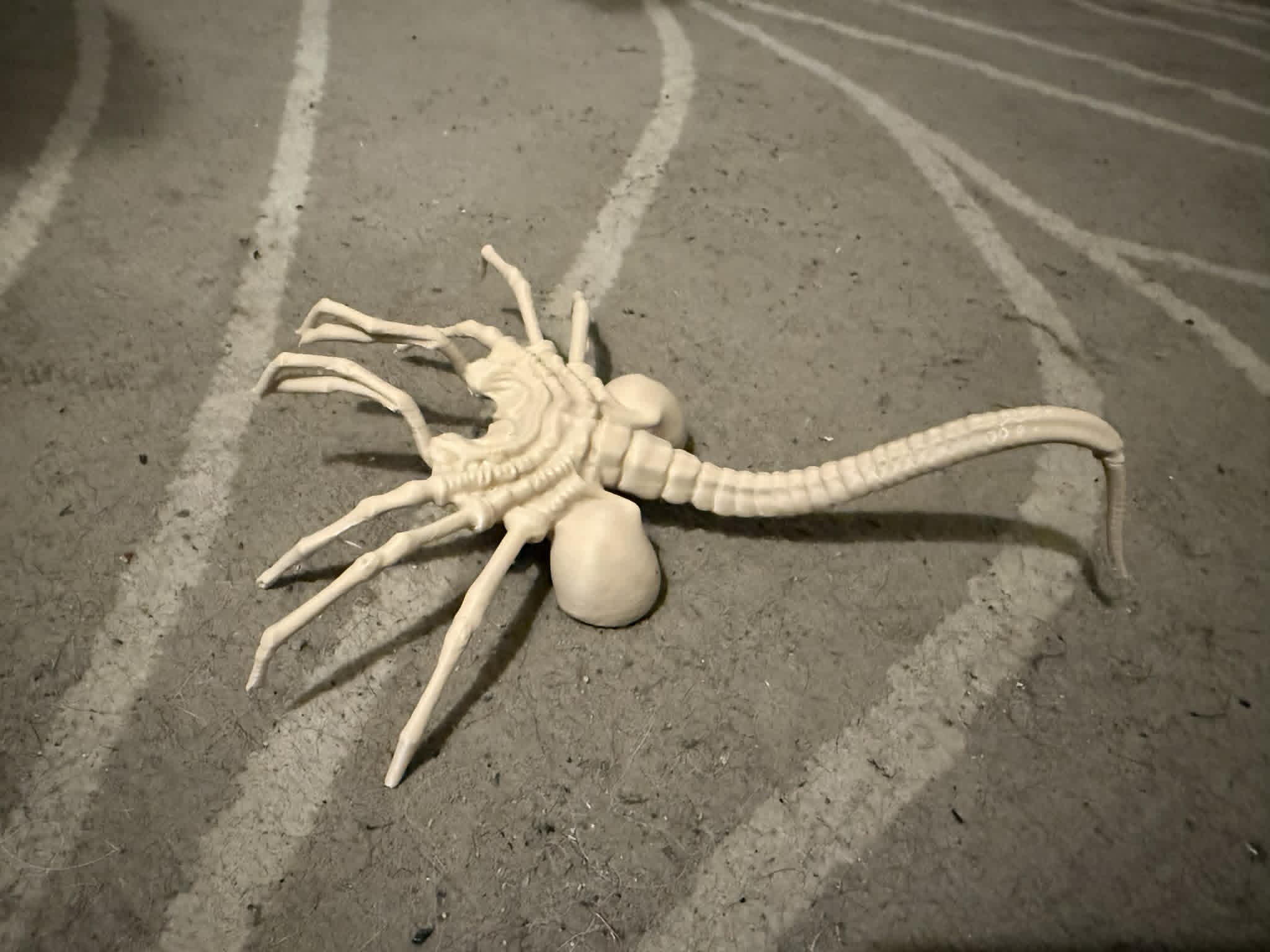 Miniatura 6 do modelo 3D Alien Facehugger
