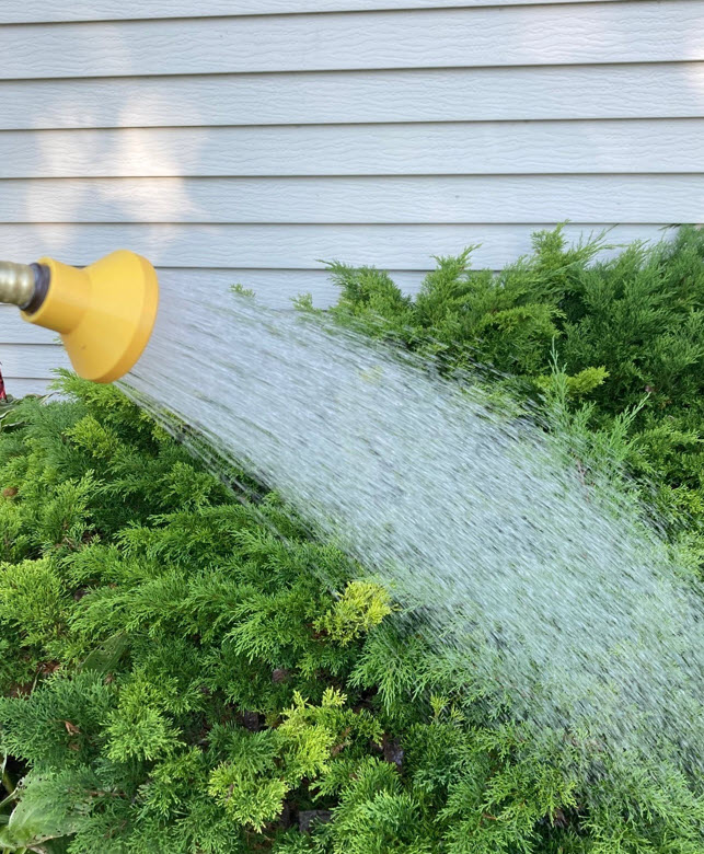 Gentle  High Flow Watering Nozzle