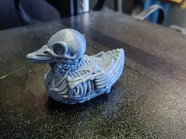 Skeleton ducky