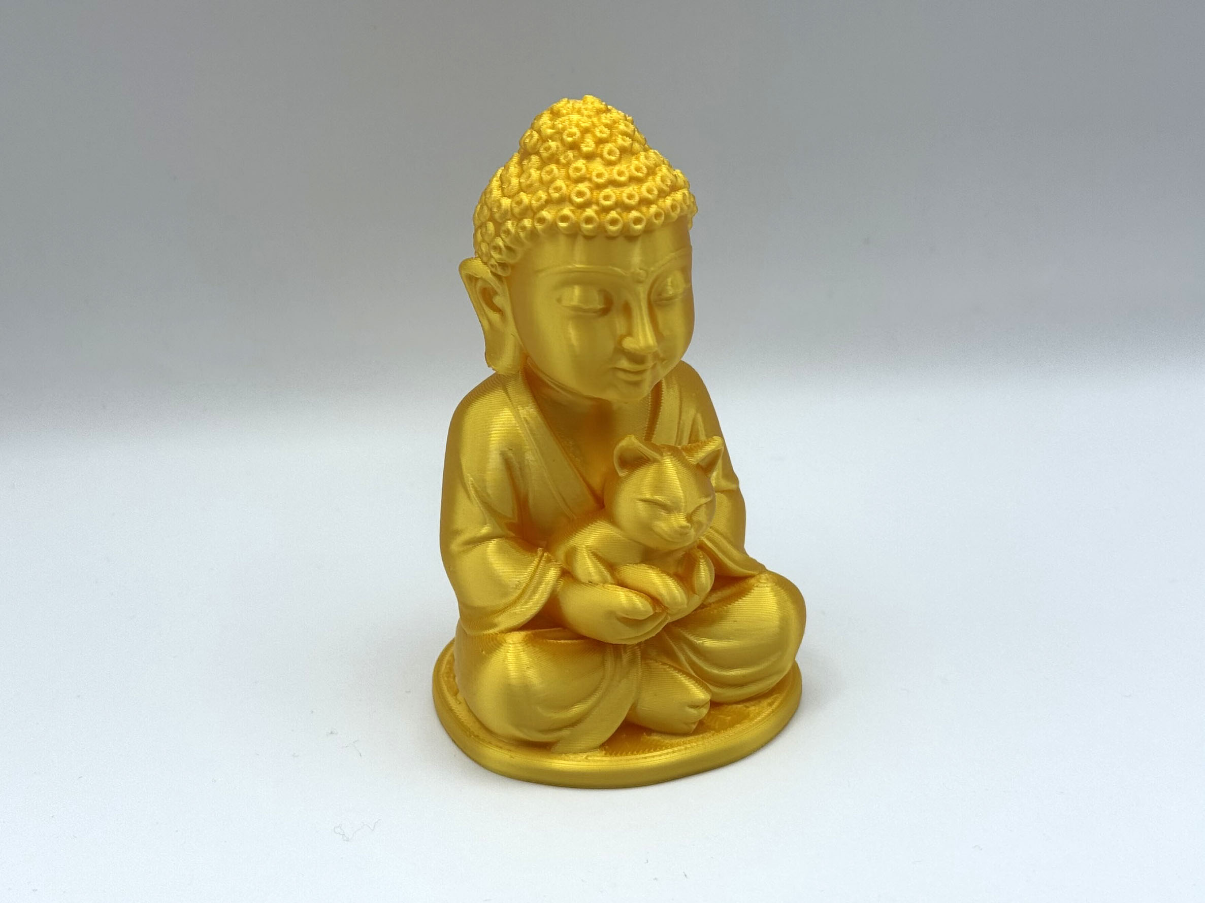Buddha with Cat