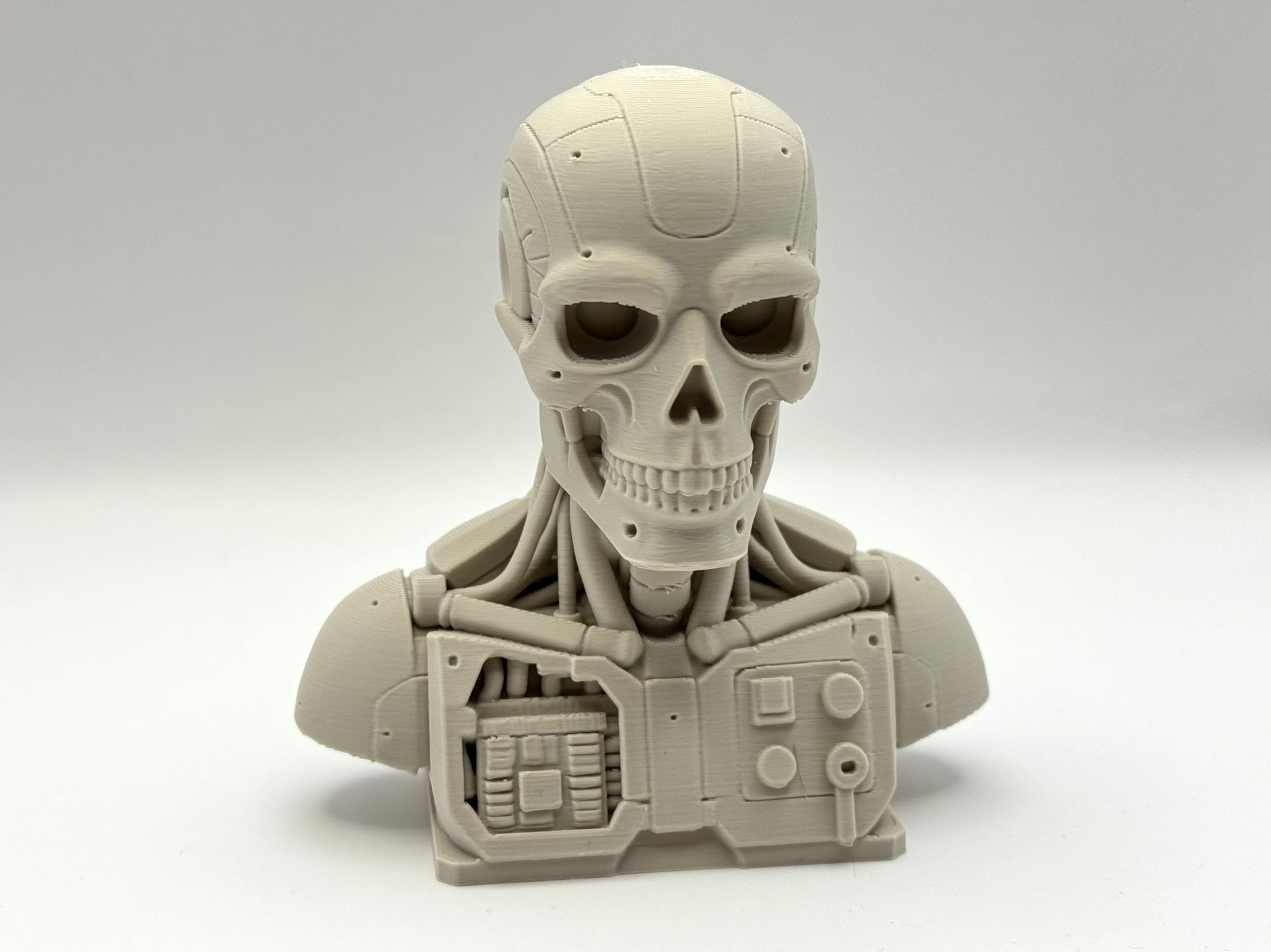 Cybernetic Skull Bust