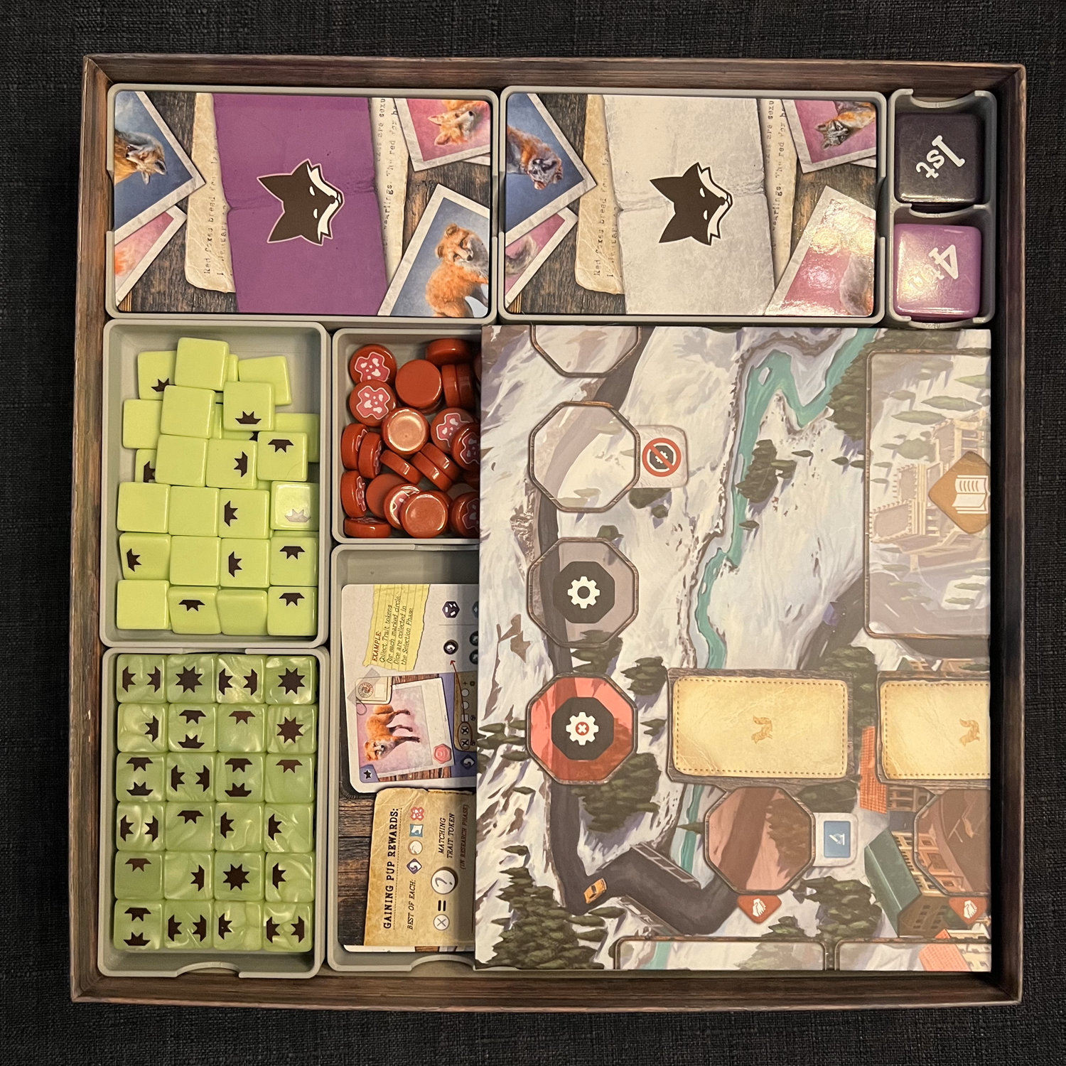 The Fox Experiment organizer with player trays