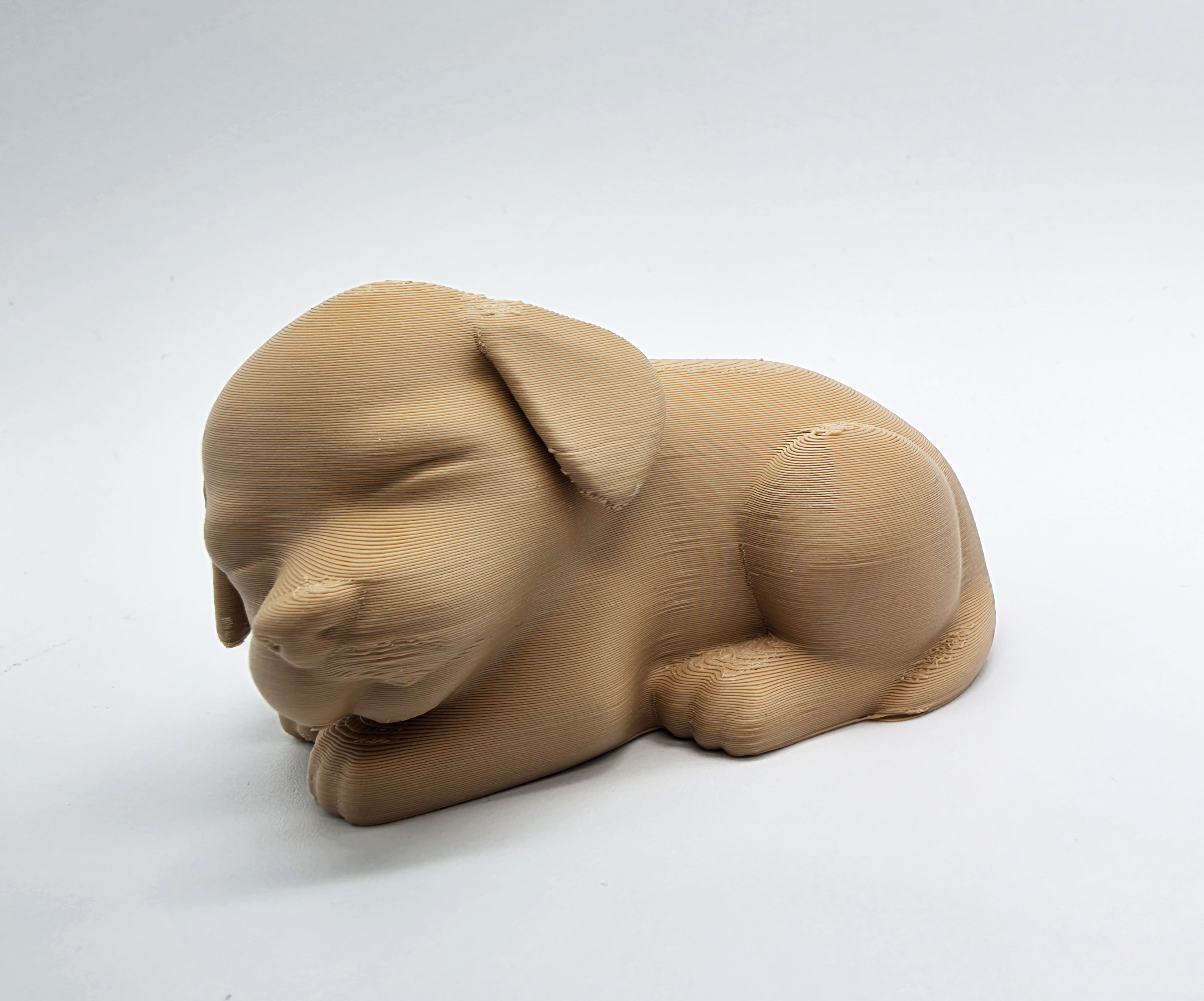 Sleeping Puppy 2 — miniatura 3