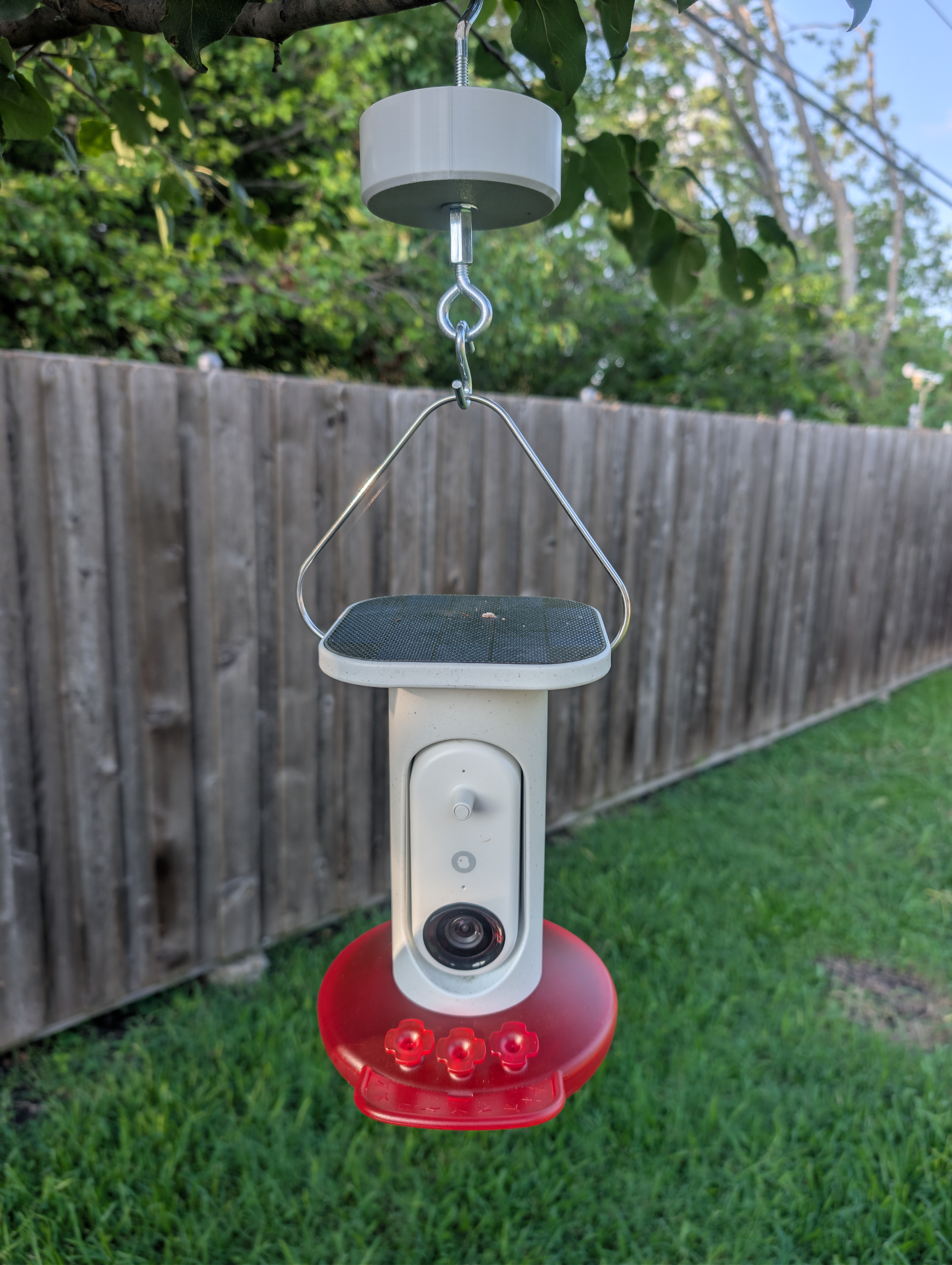 Hummingbird Feeder Ant Moat