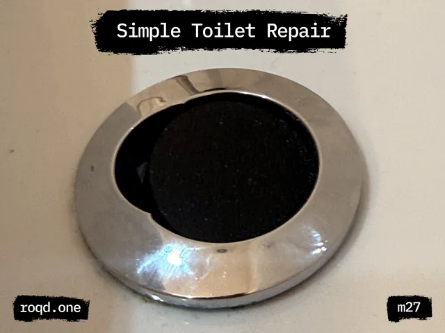 Replacement Toilet Flush Button