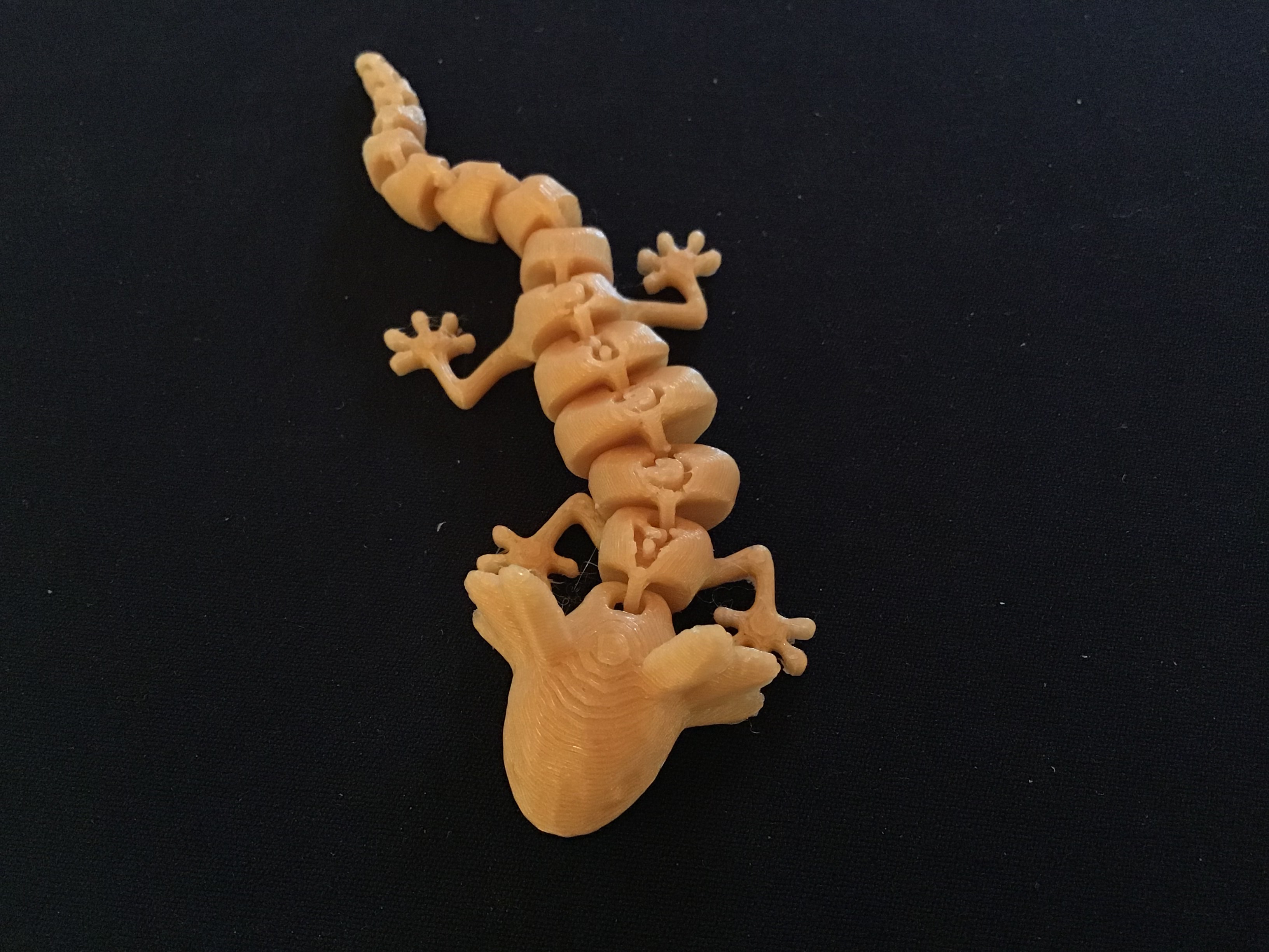Articulated Axolotl