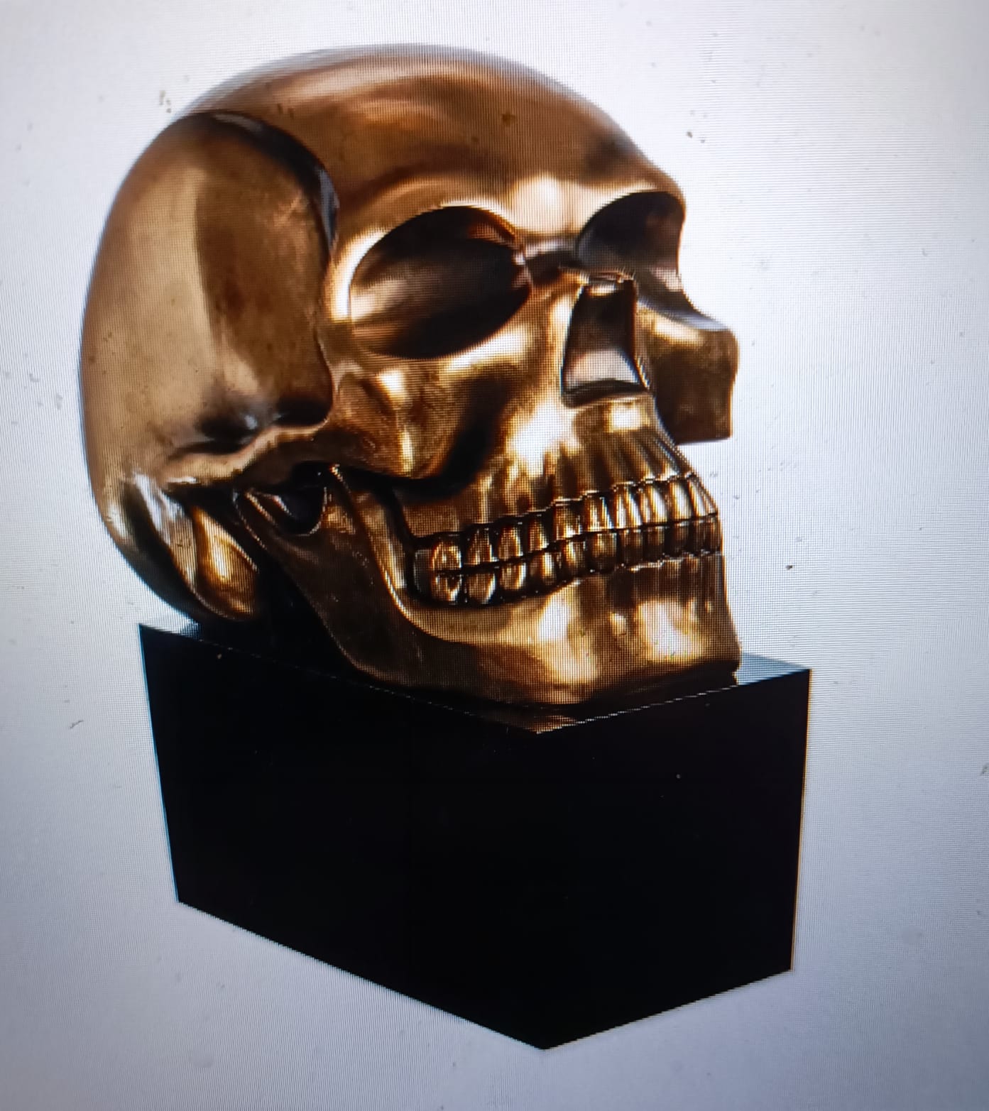 skull with base