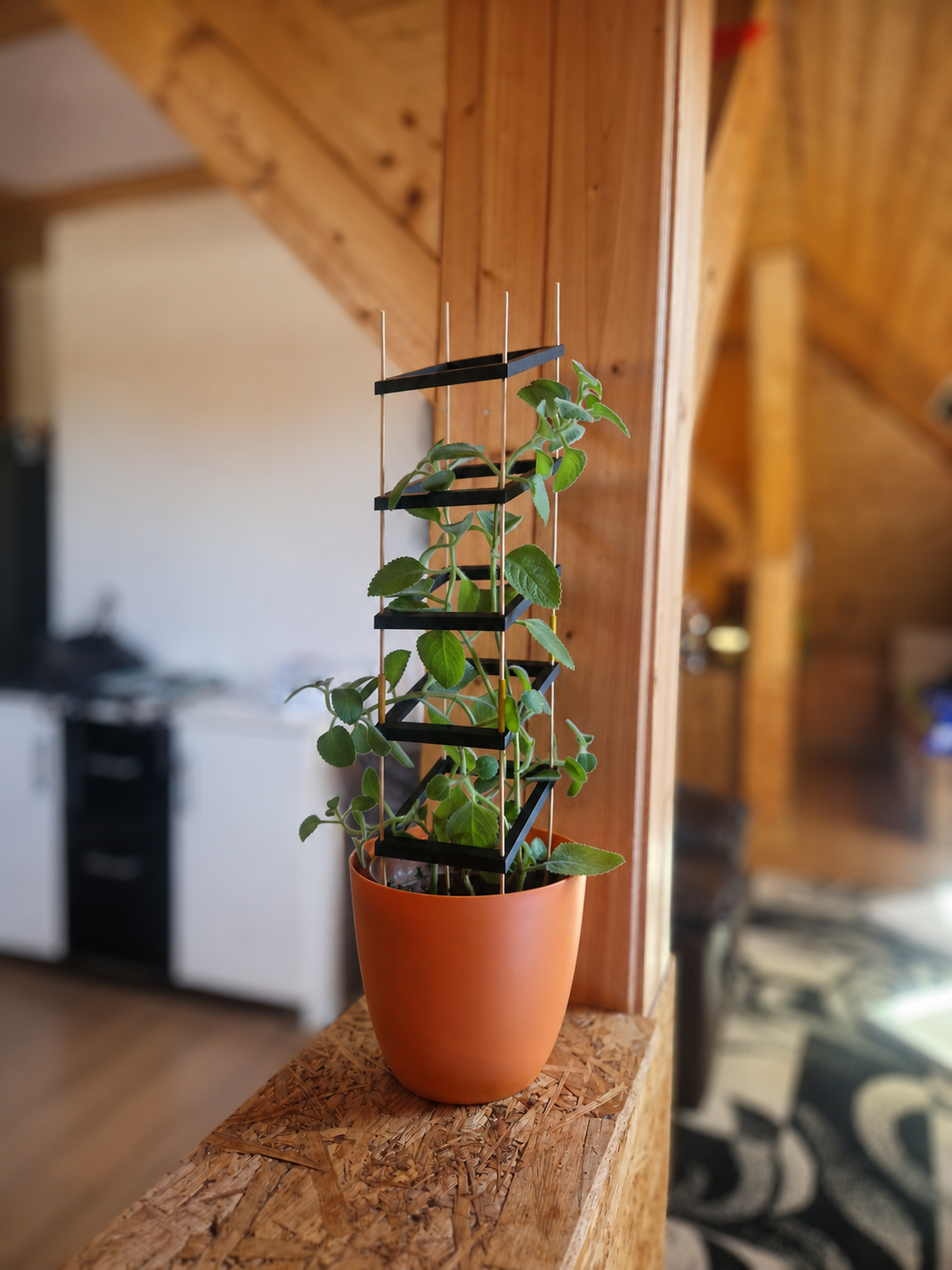 Modern Plant Support
