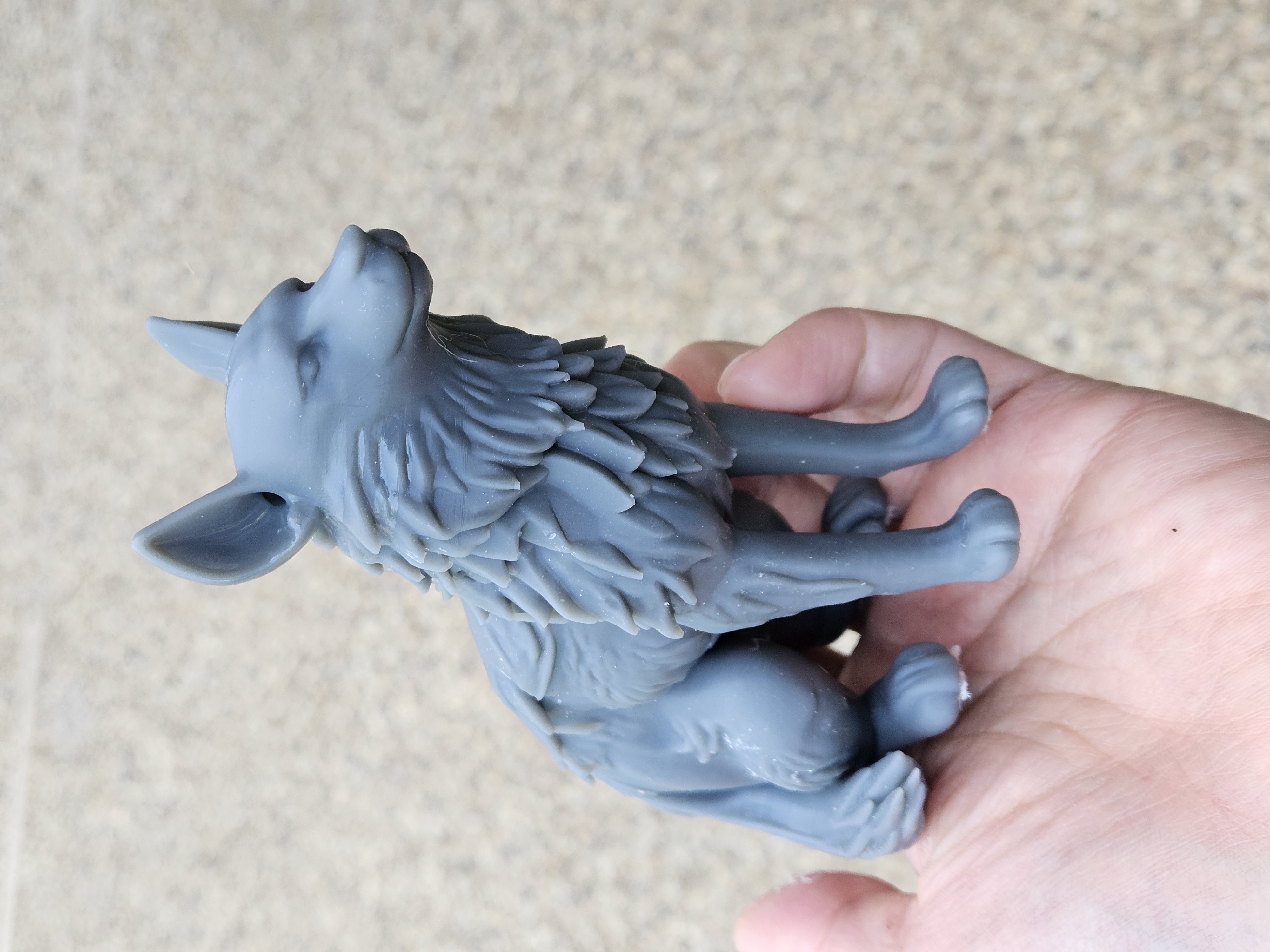 Dire Wolf Khaleesi