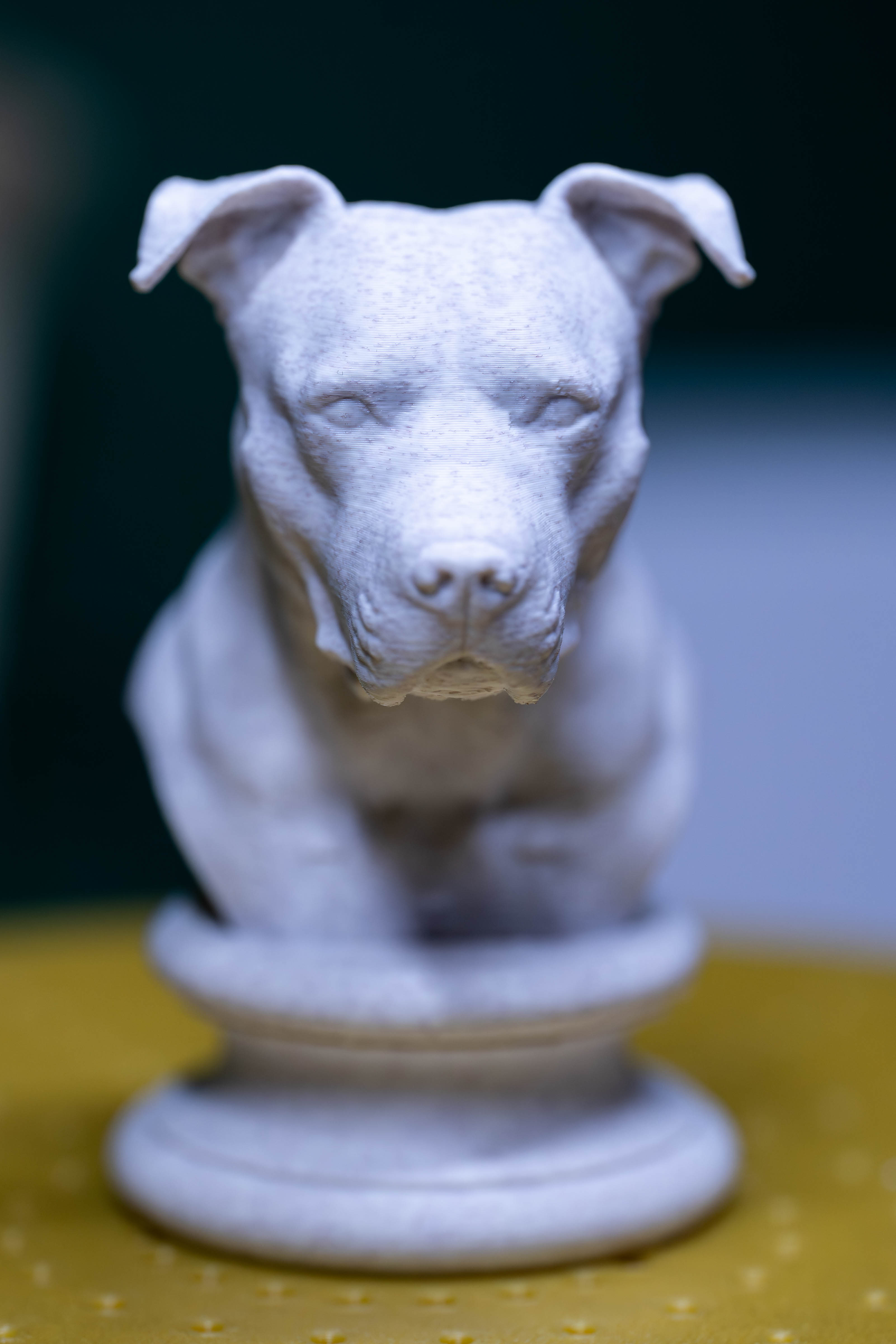 Pitbull Amstaff Bust 3D model