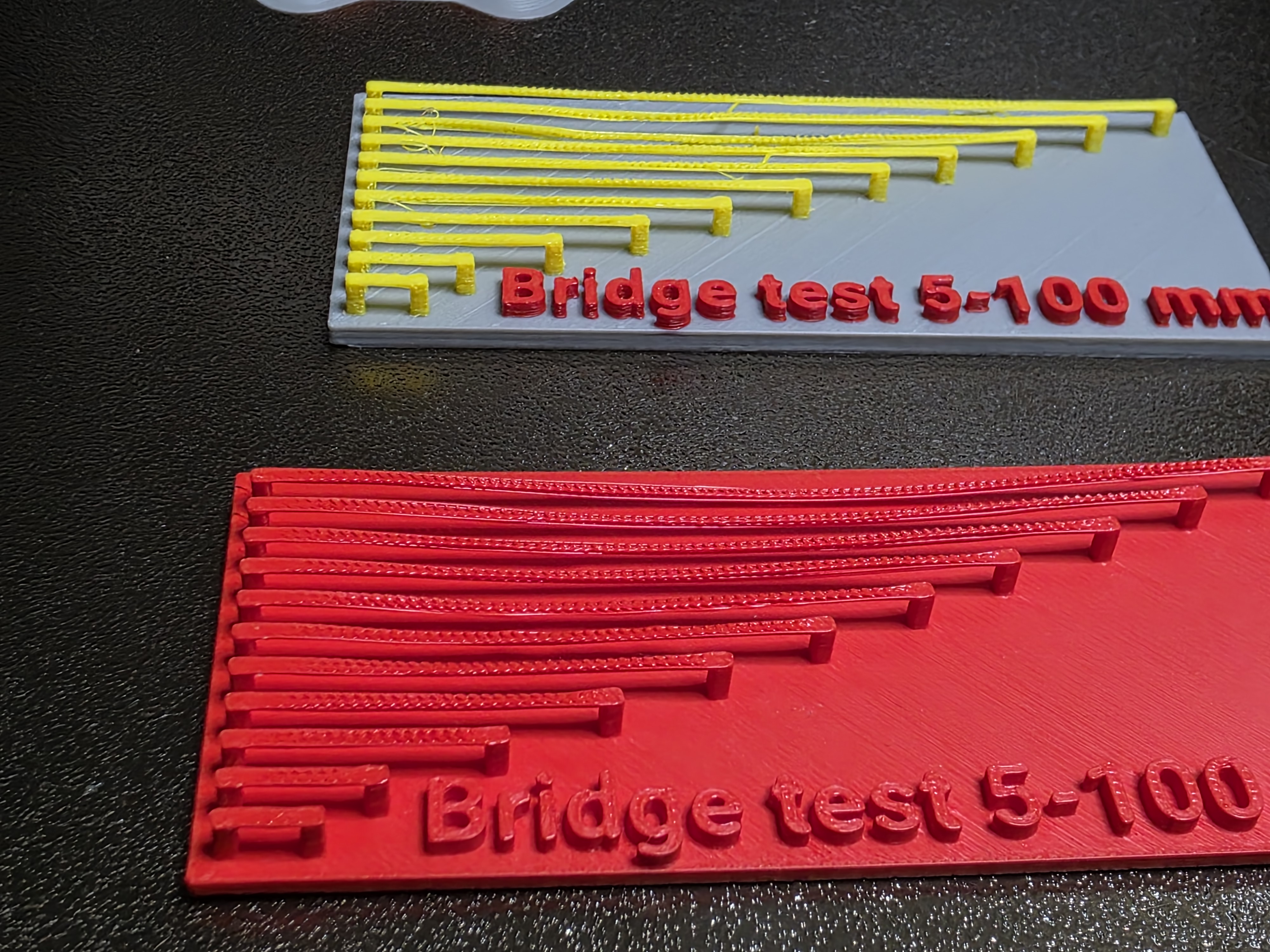 3d Printer bridge test