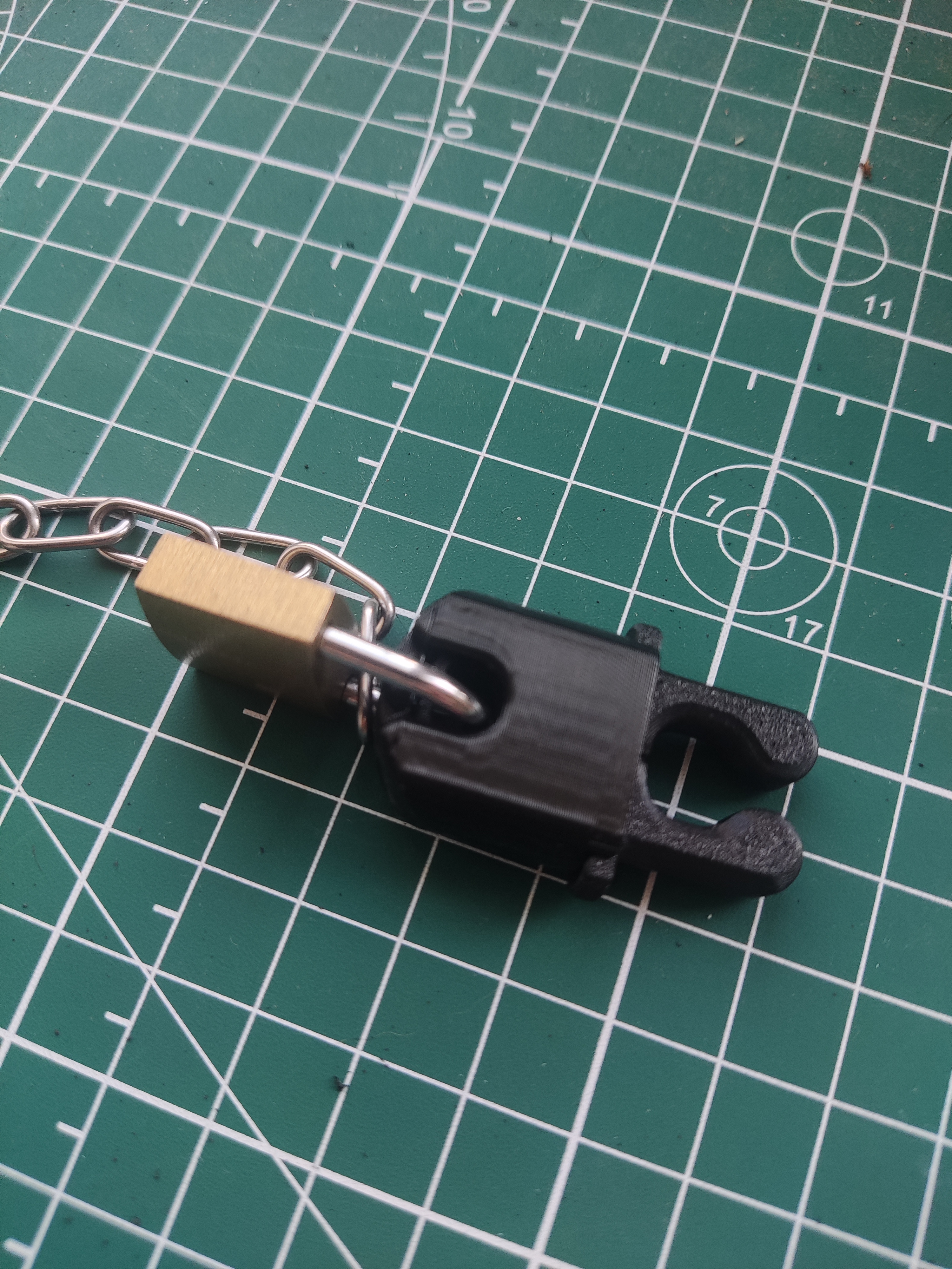 Nose shackle (bondage)