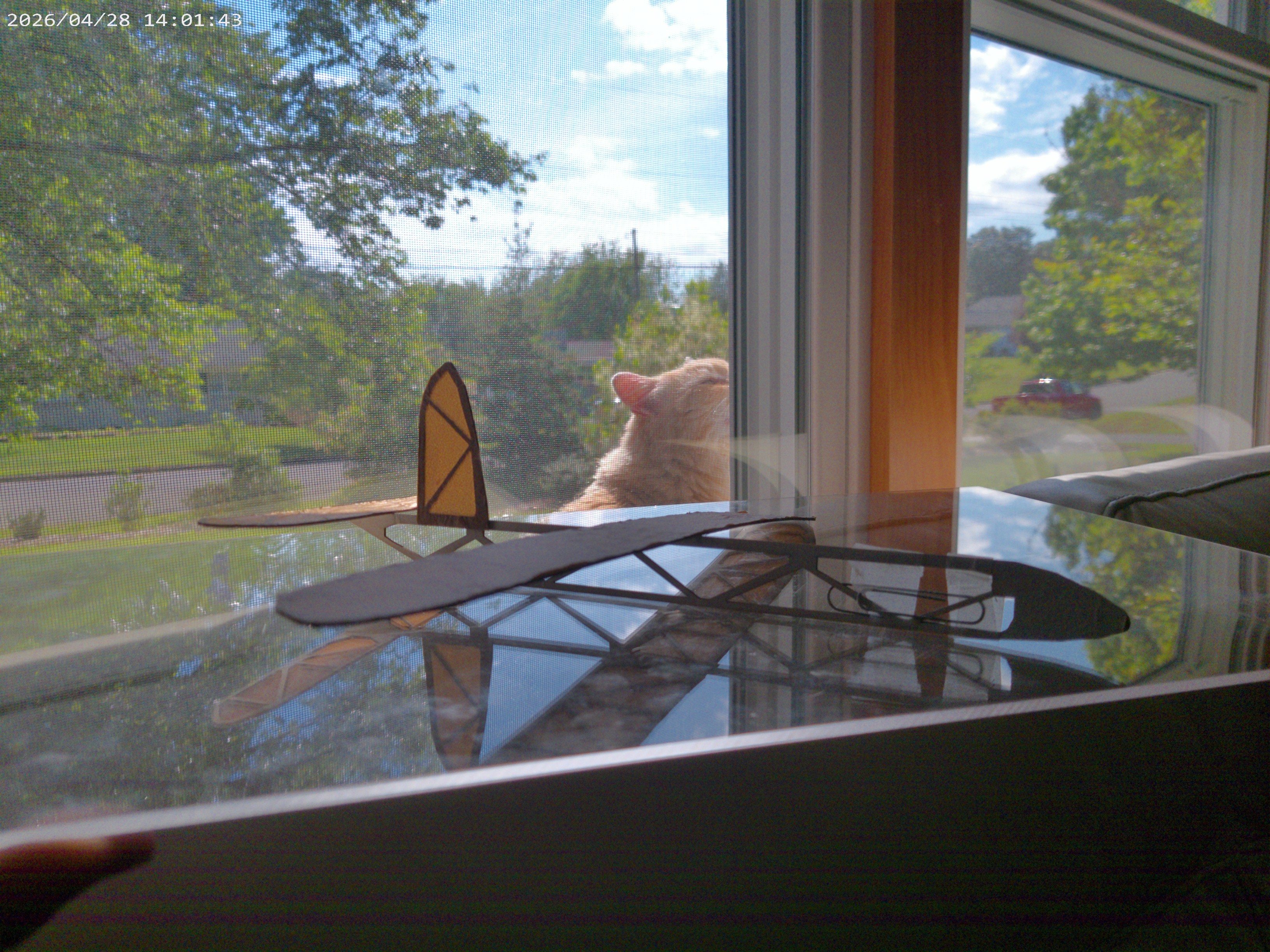 working glider (laser cut)
