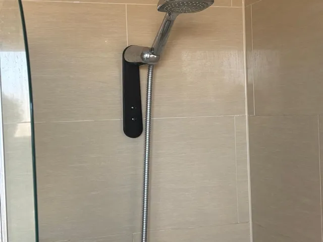 Shower mount