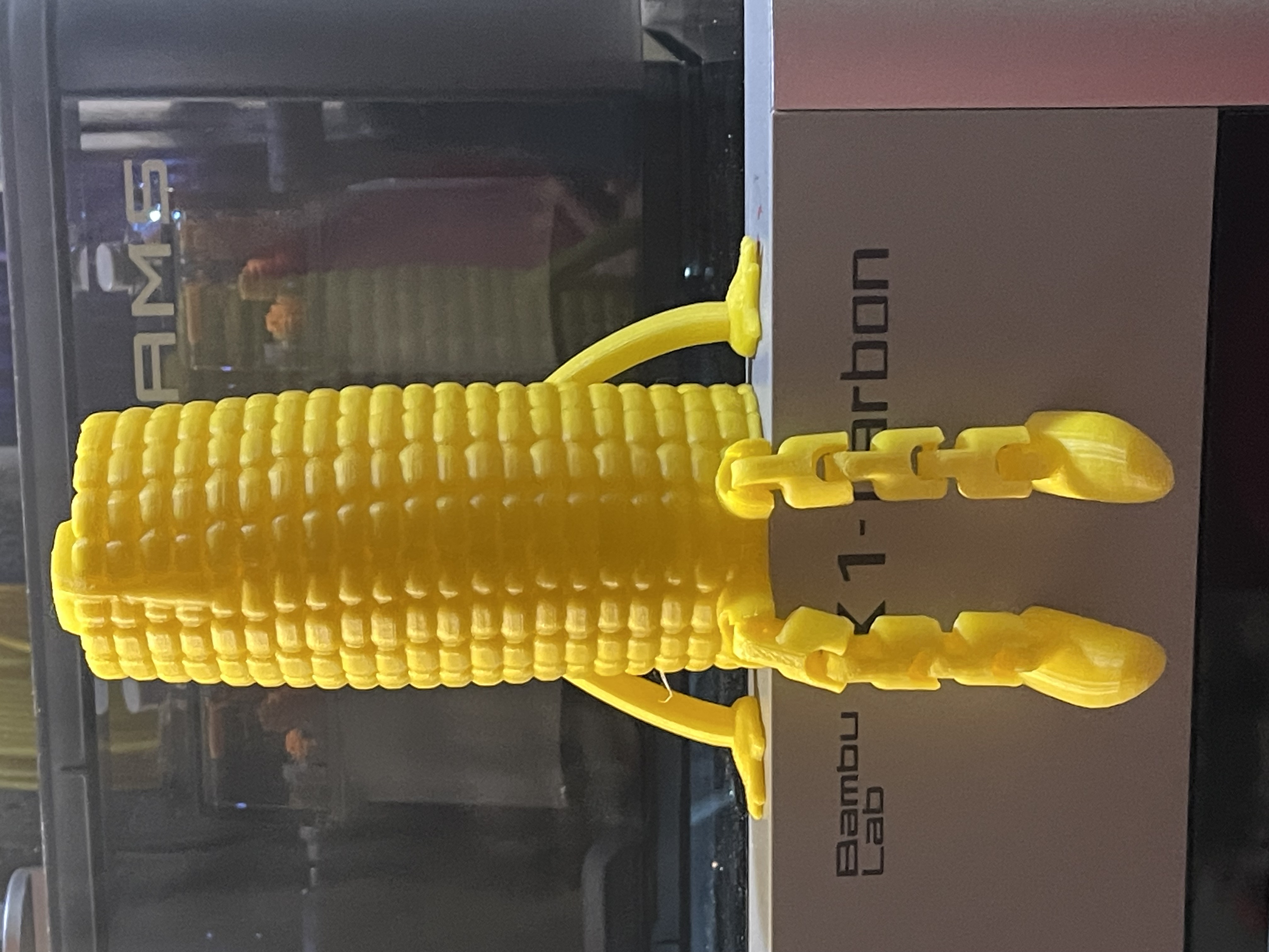 Friendly Articulated Corn