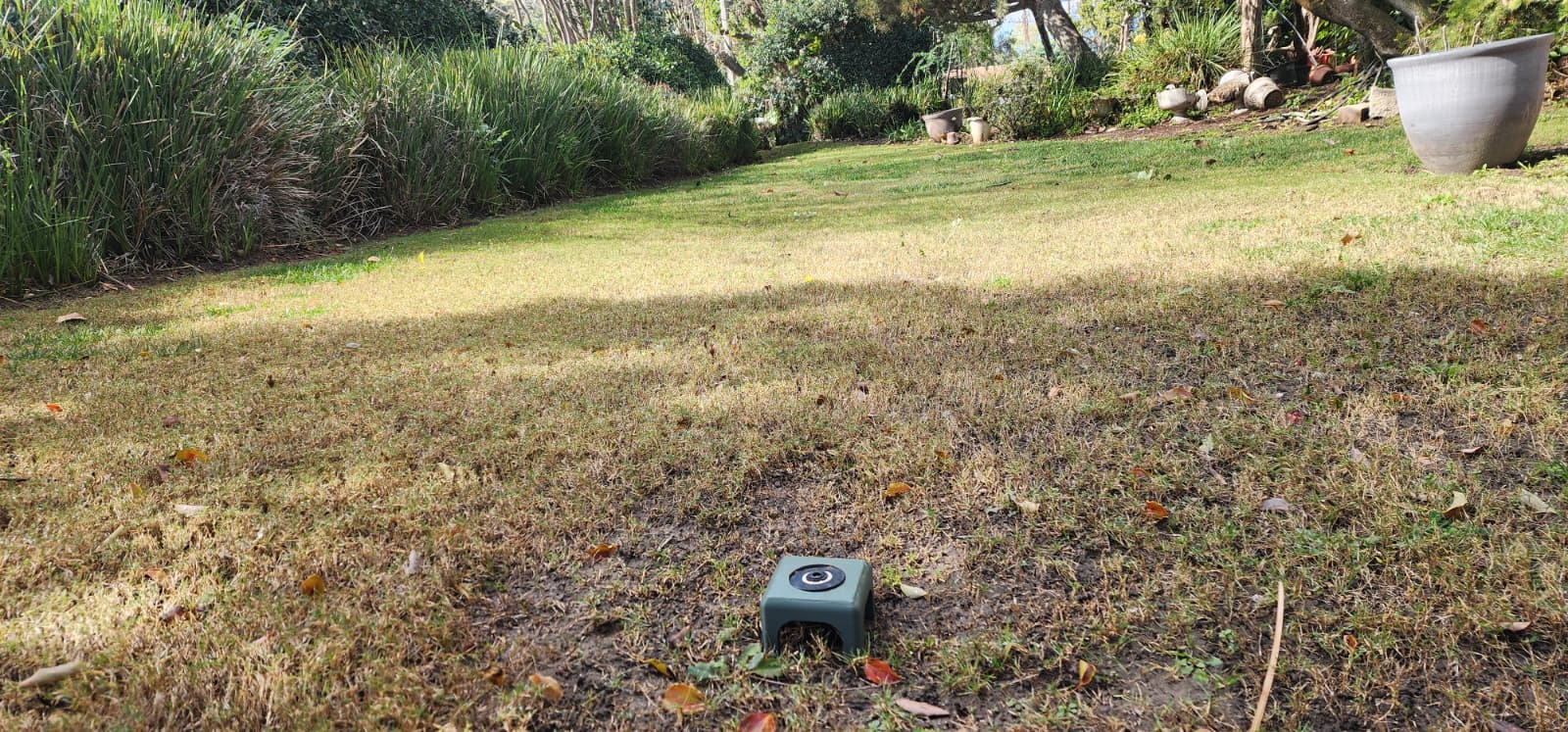 Sprinkler Protector