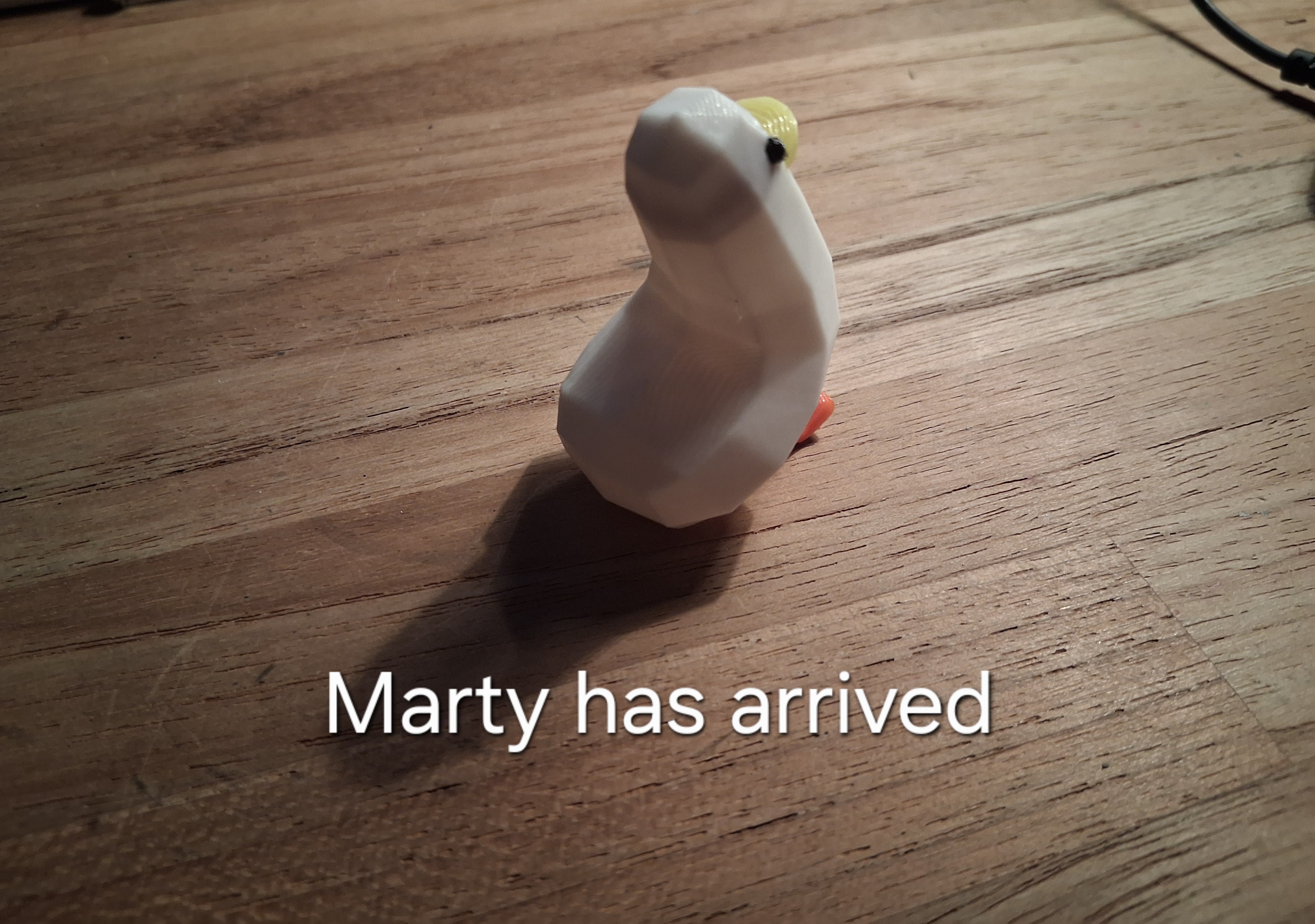 Marty from Pool-Ducks