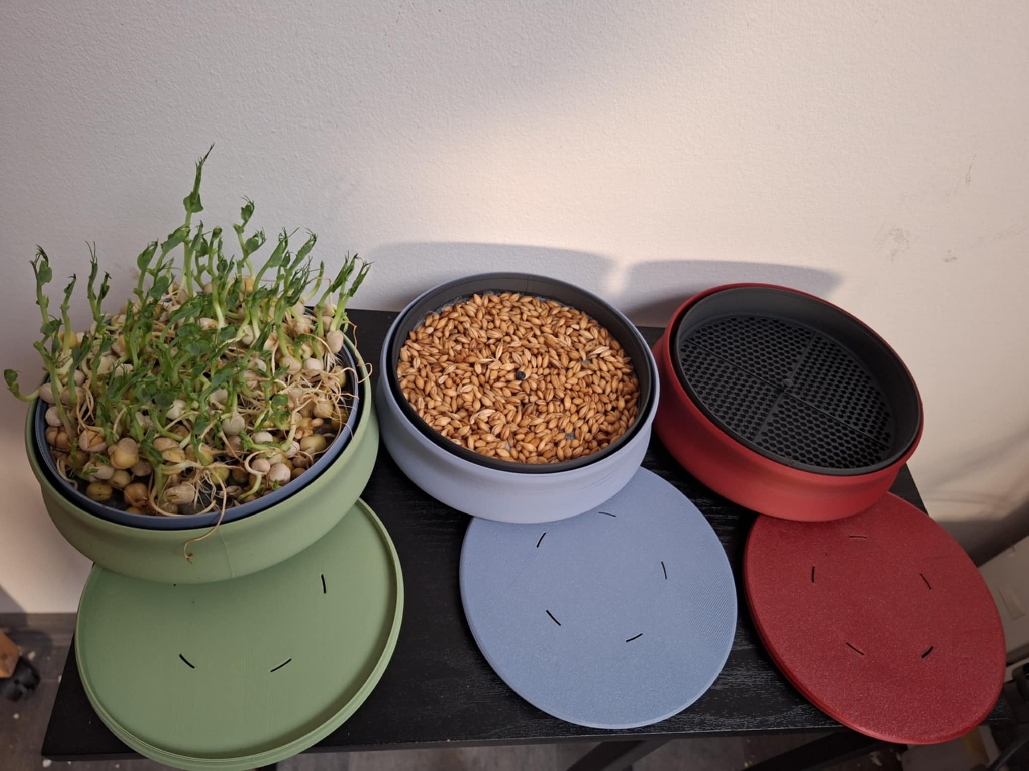 Round Microgreens Growing Tray (4-piece set)