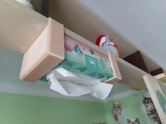 Tissue holder