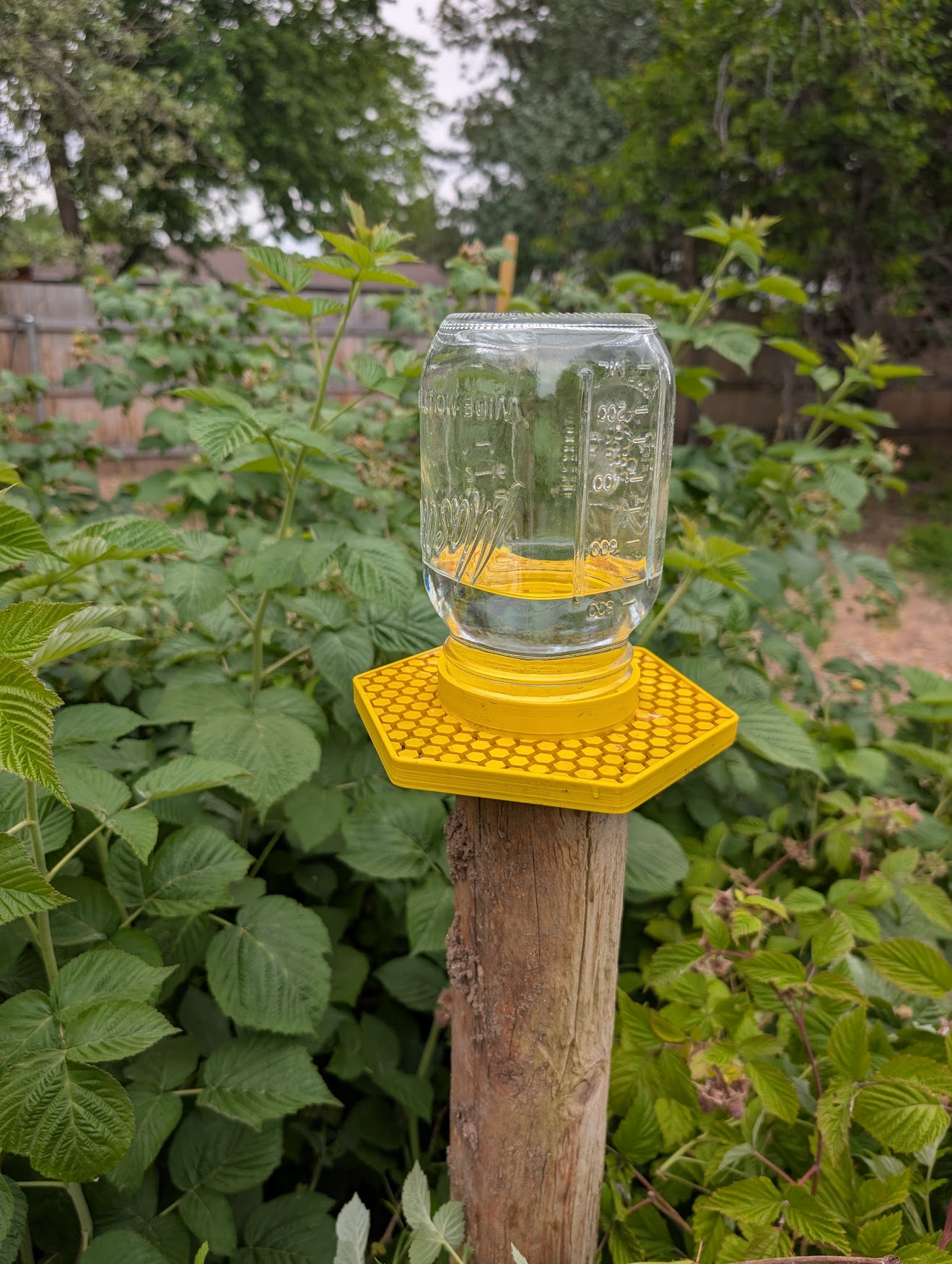 Bee Watering tray For Wide/Standard Mouth Mason Jar, for Prusa Mini