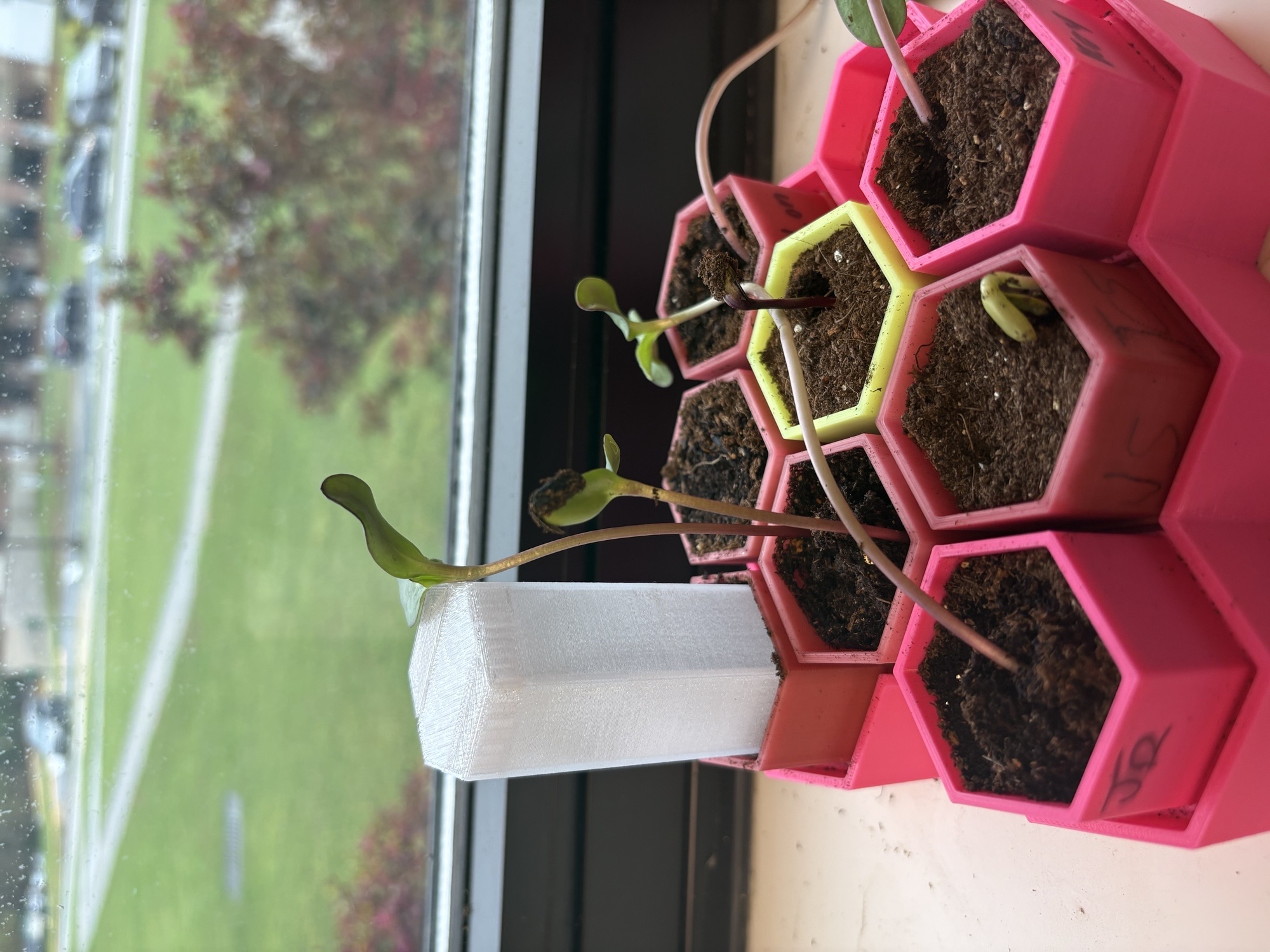 Greenhouse cover