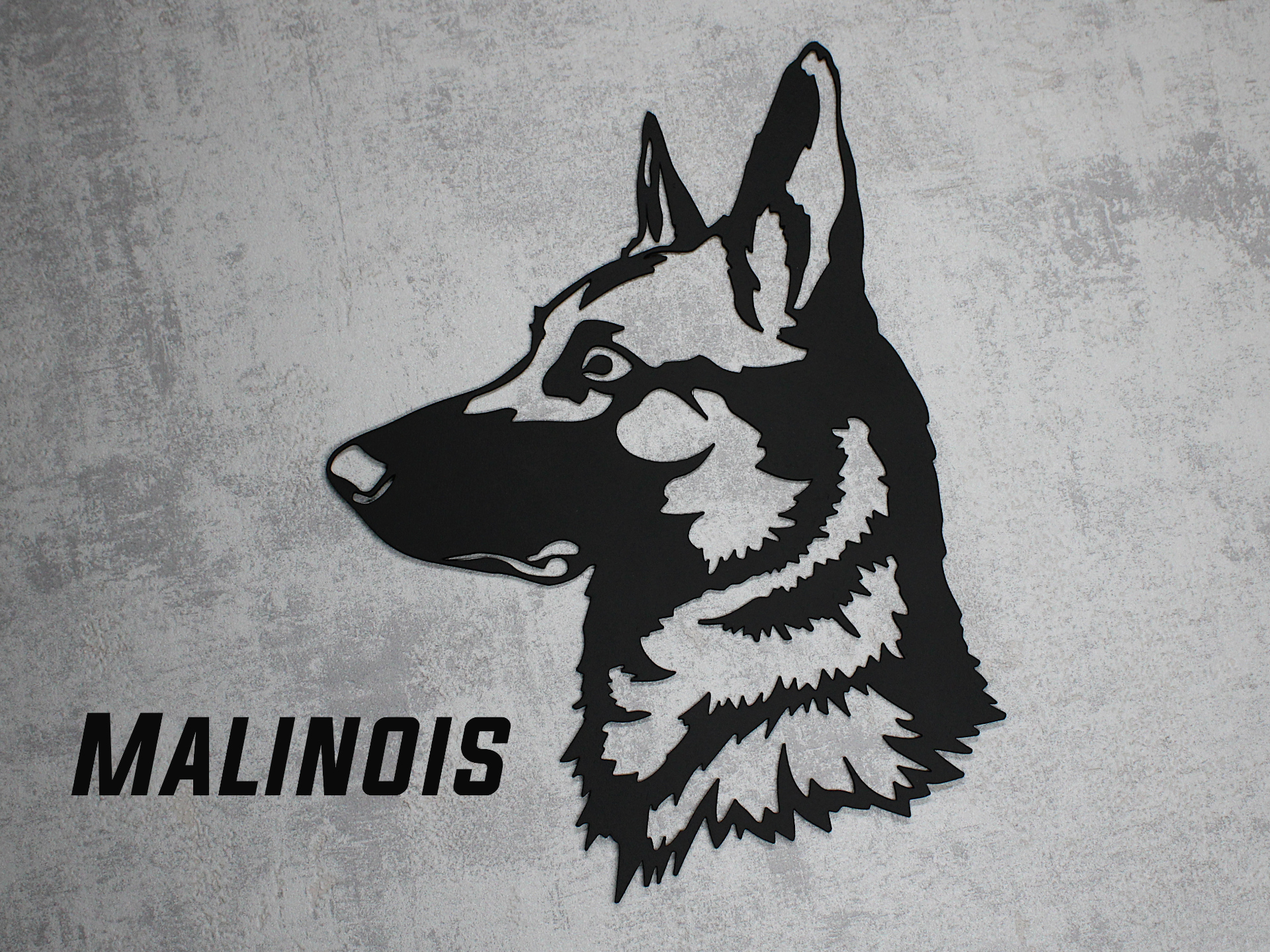 Malinois (Belgian shepherd) dog wall art