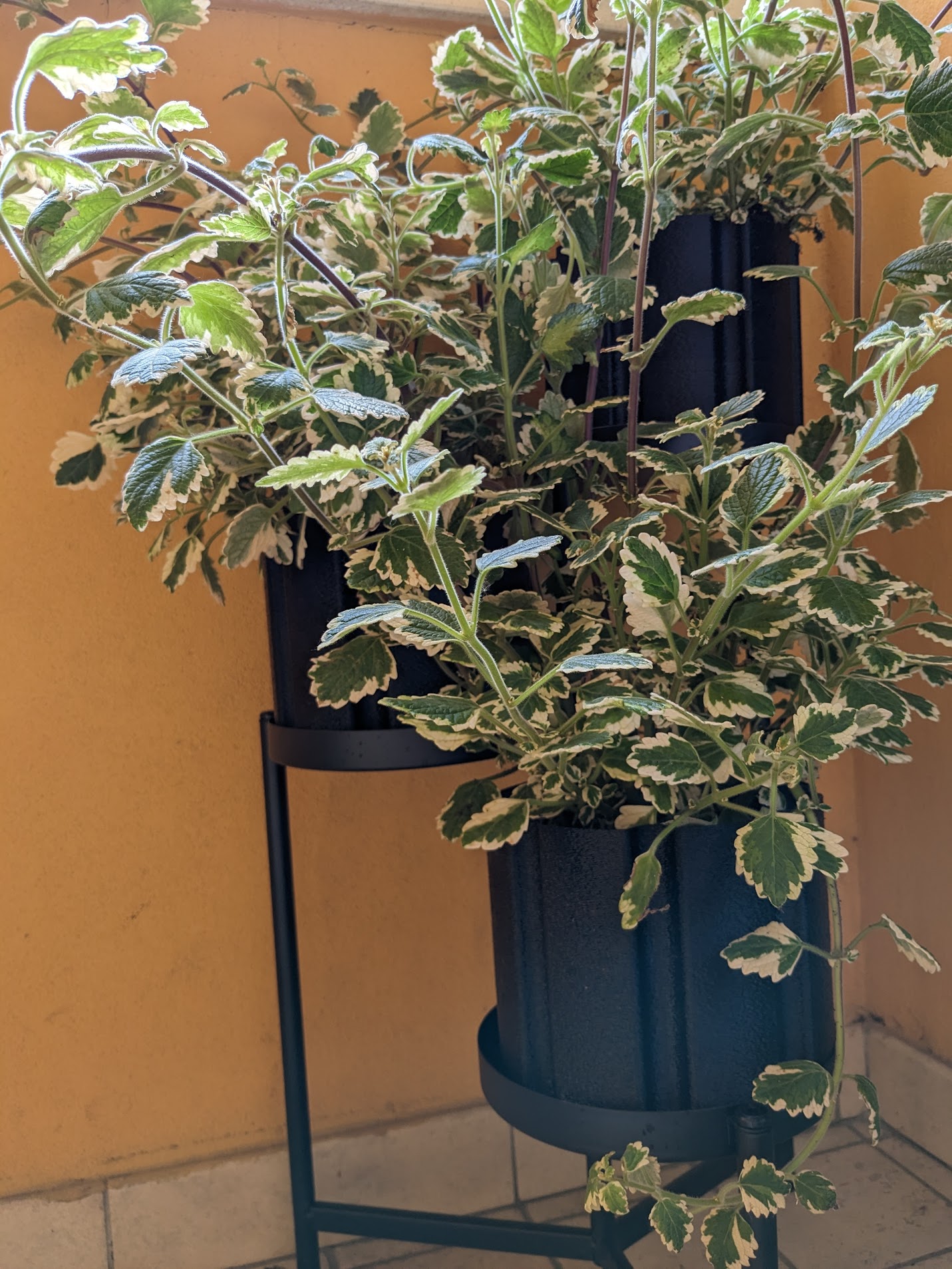 8-Fold Planter Pot: vase mode + self watering