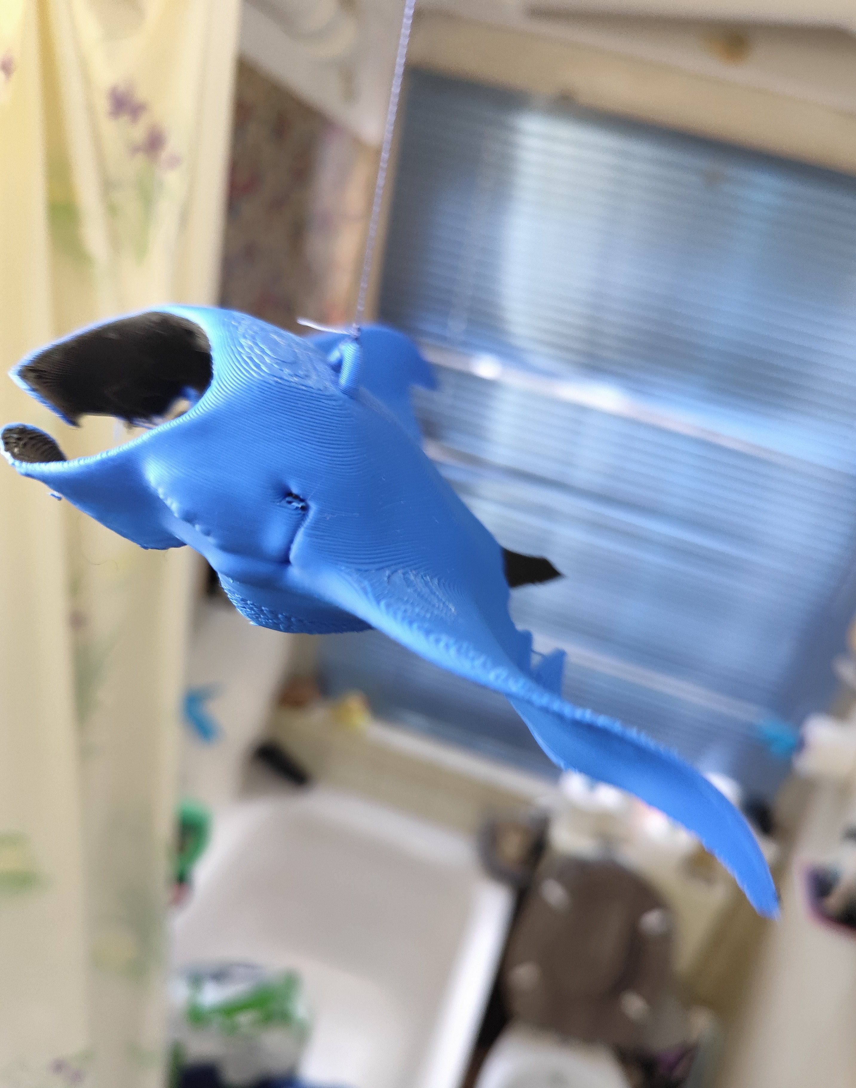 manta ray model