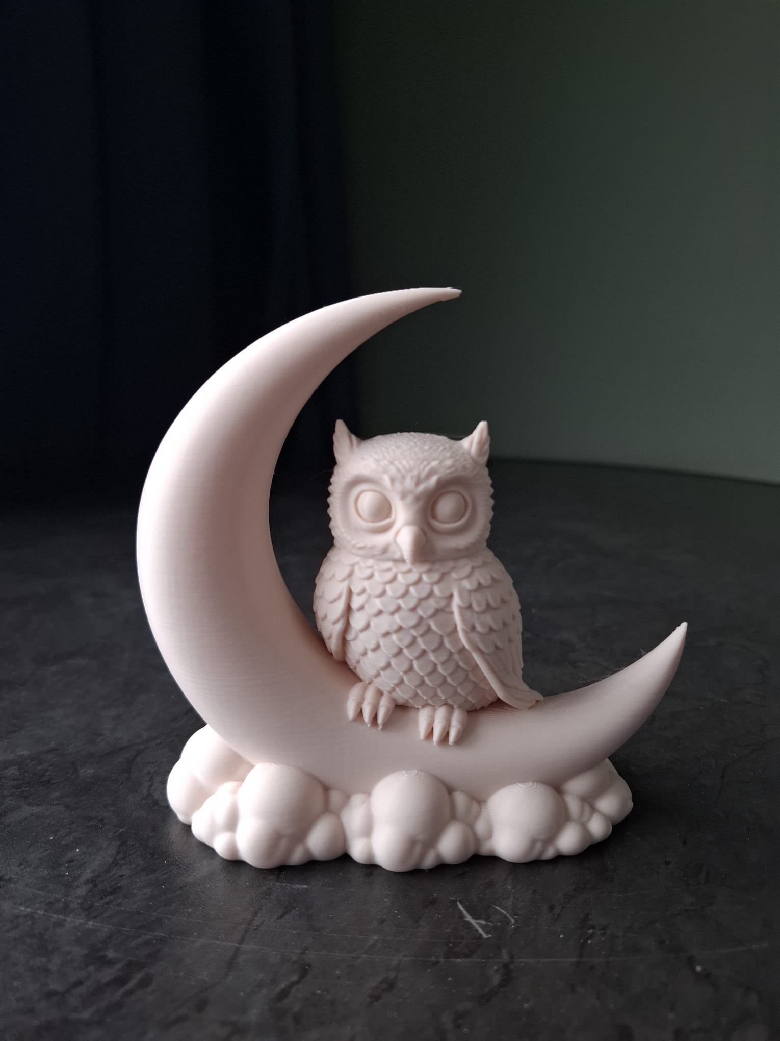 Cute Owl on Crescent Moon