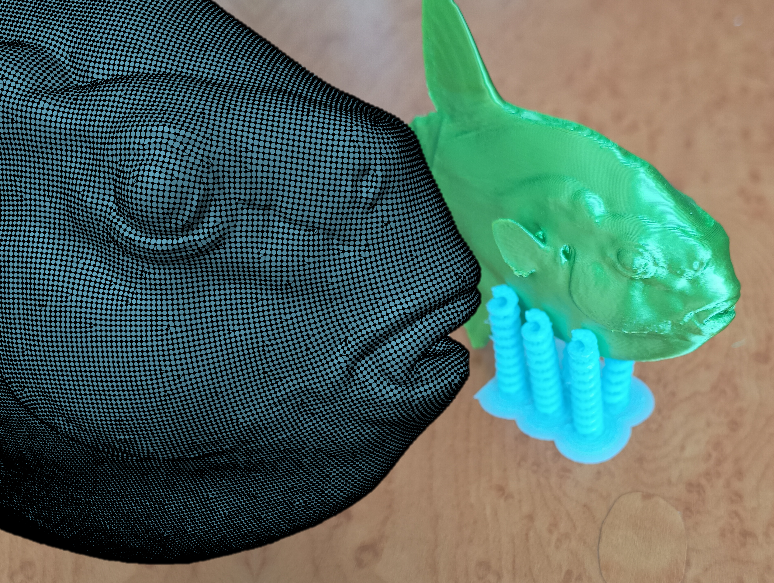 Sunfish/Manbou - 3d outline