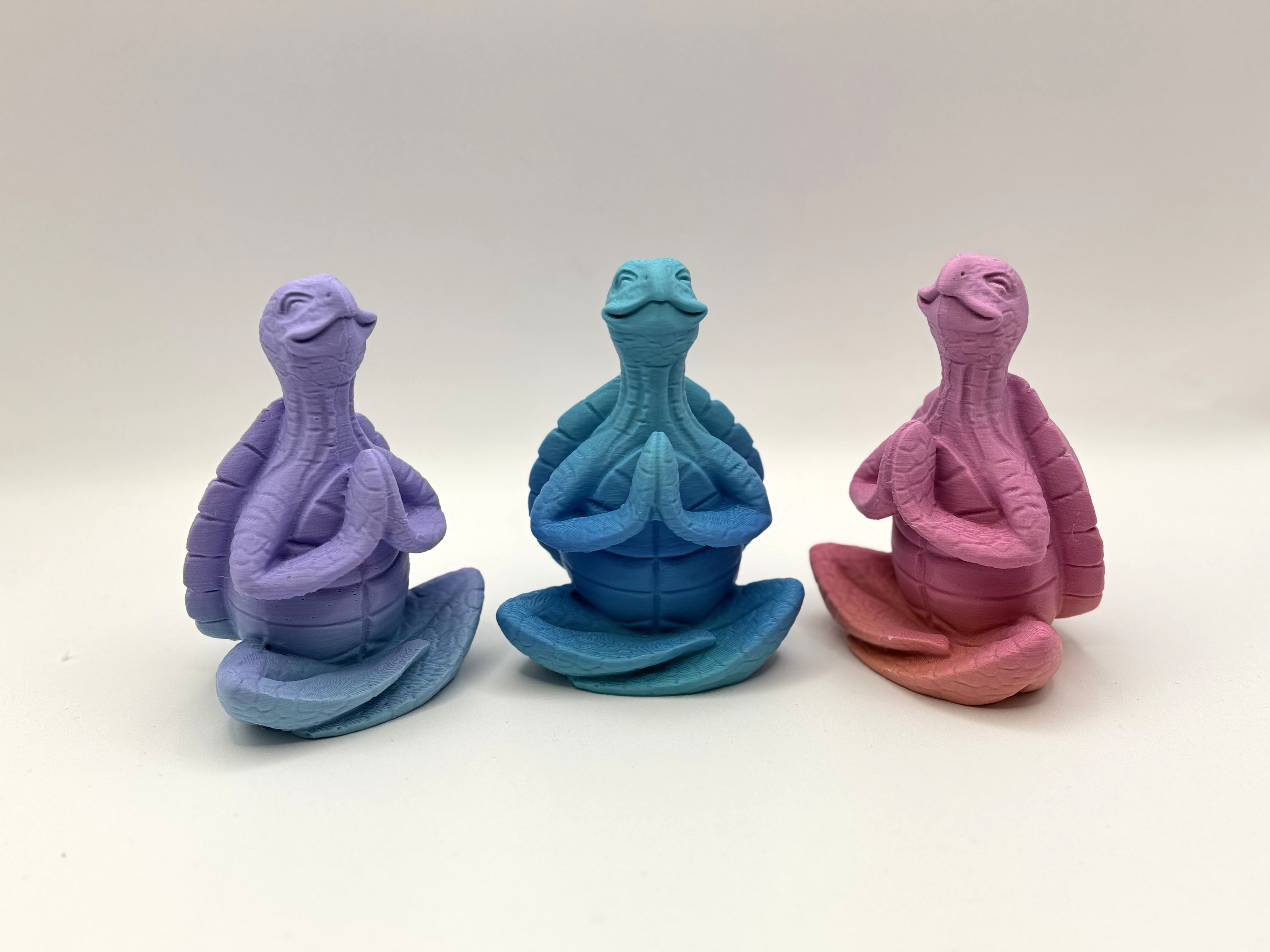 Miniatura 4 do modelo 3D Zen Turtle