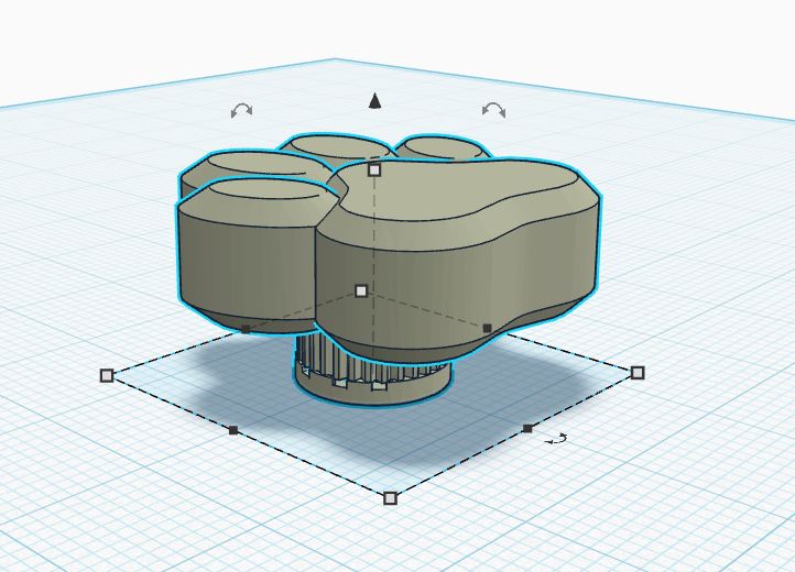 Paw Print Valve stem cap