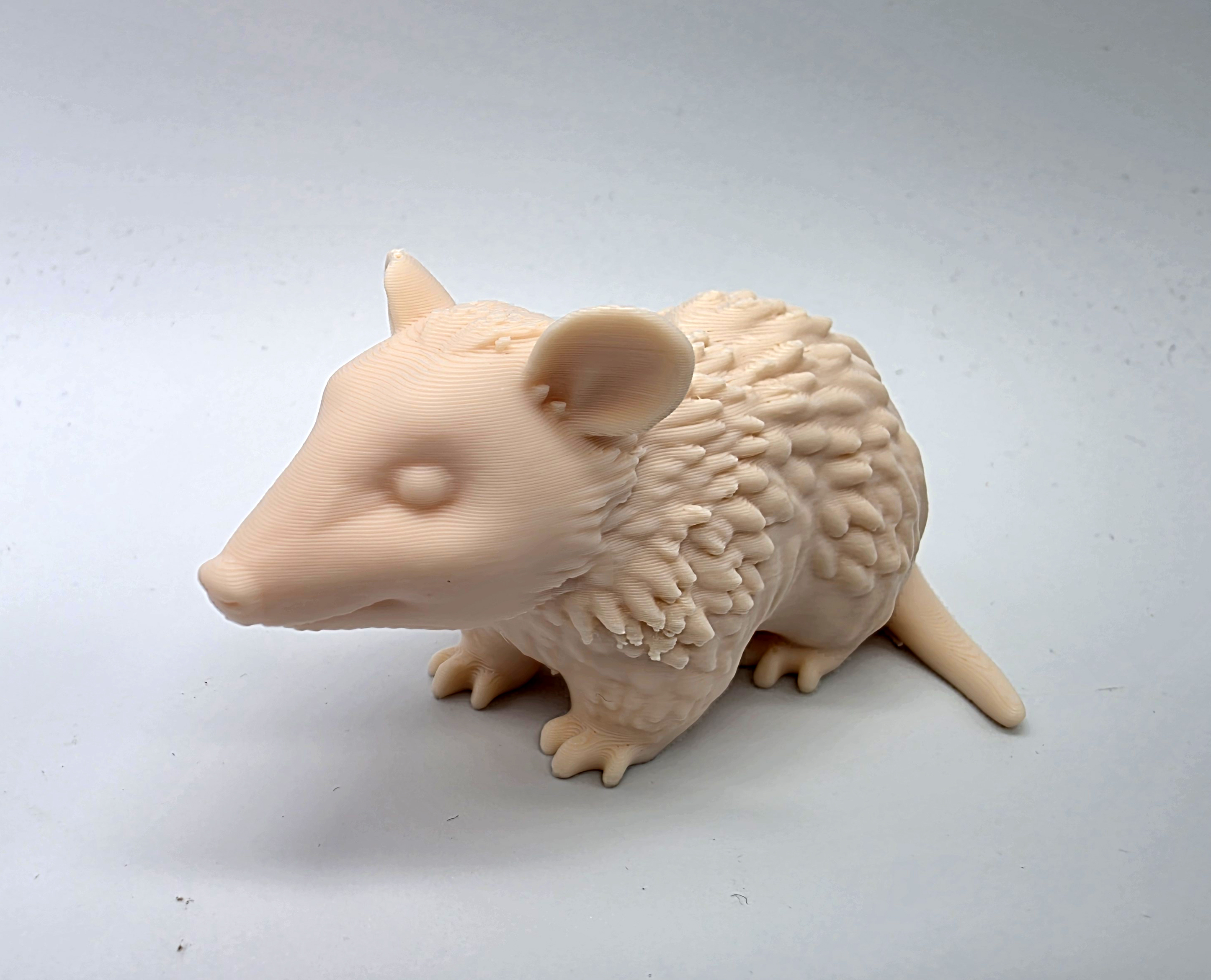 Miniatura 3 do modelo 3D Opossum