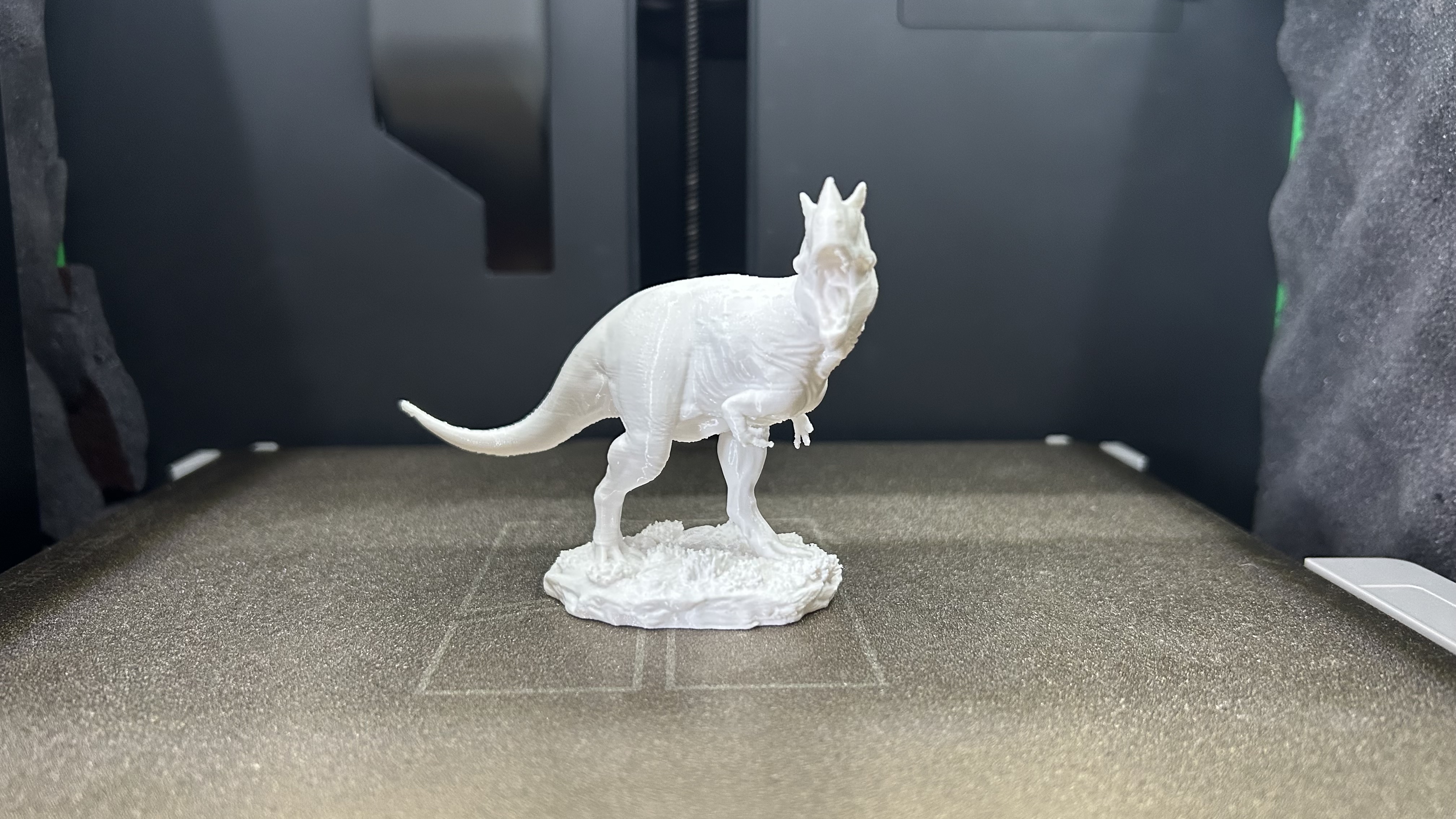 Ceratosaurus Dinosaur