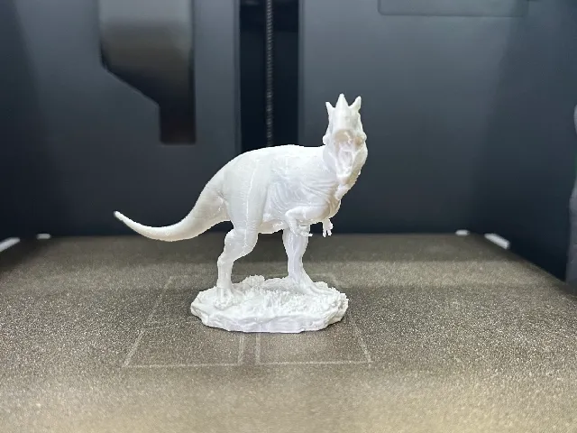 Ceratosaurus Dinosaur