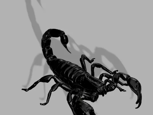 Scorpion Heterometrus silenus