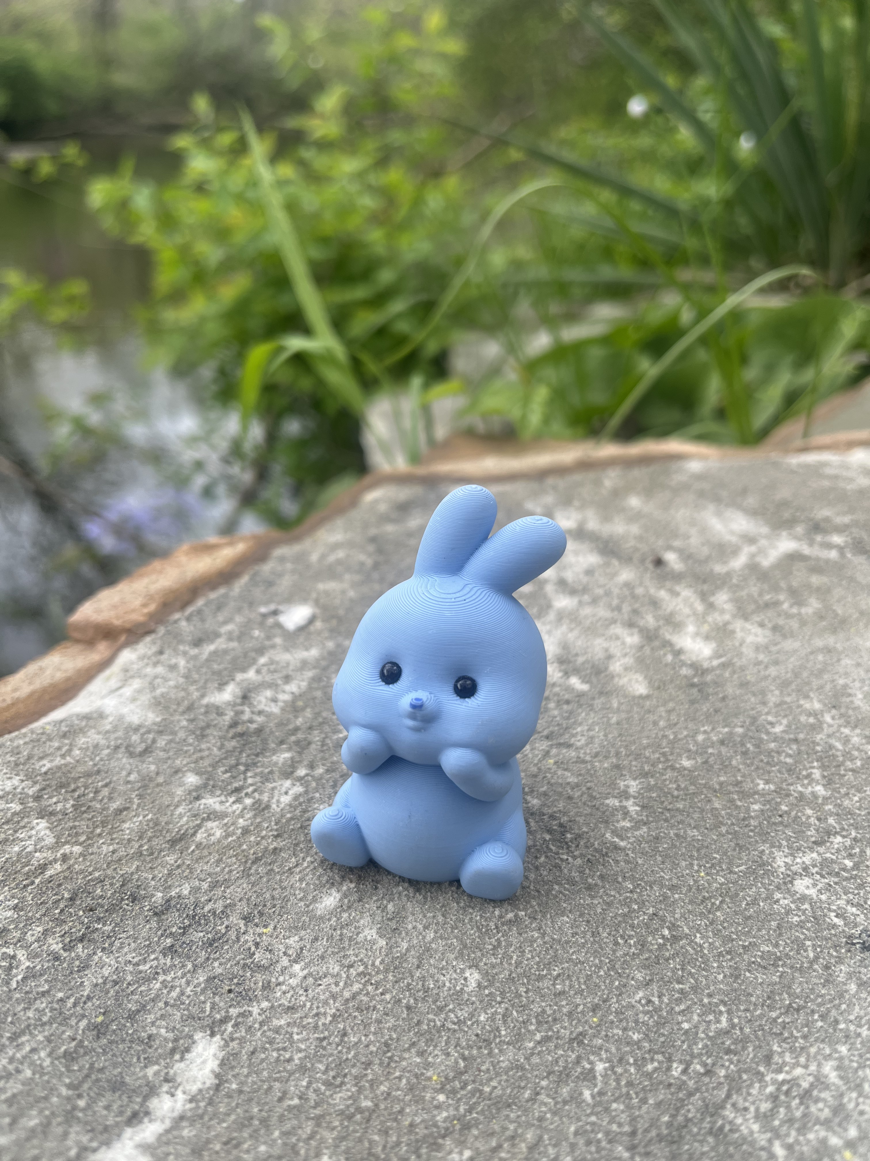 Squishy Bunny