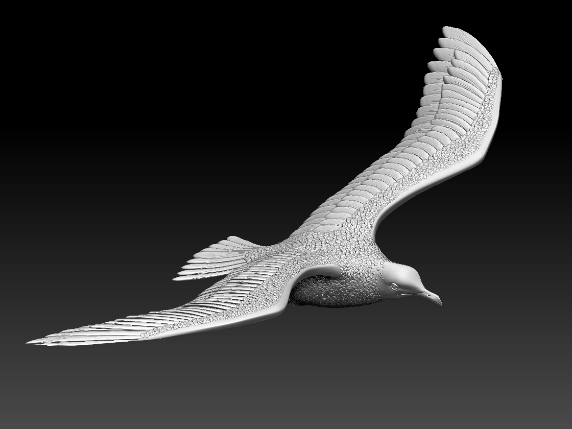 seagull — miniatura 13