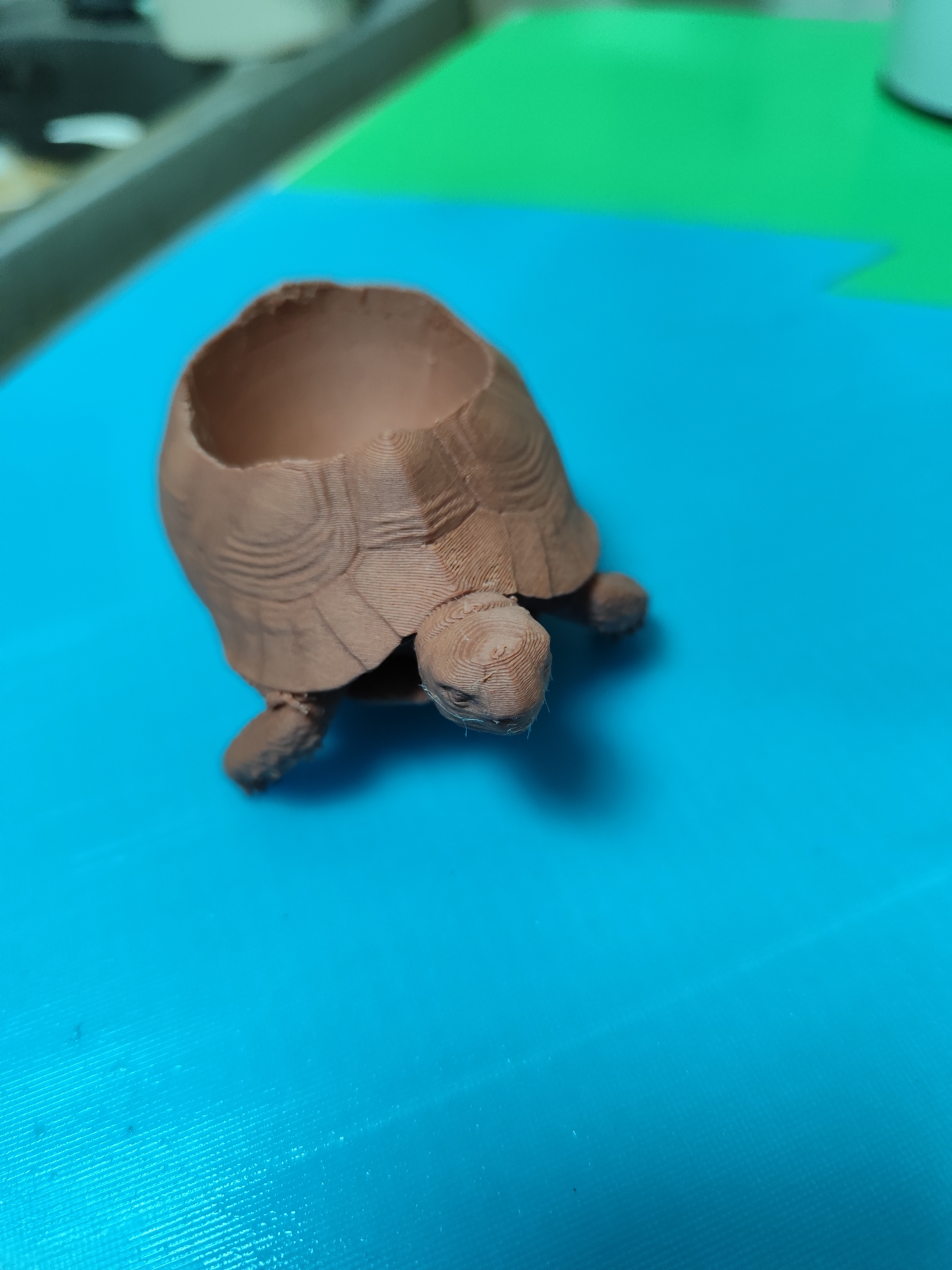 tortoise egg cup — miniatura 2