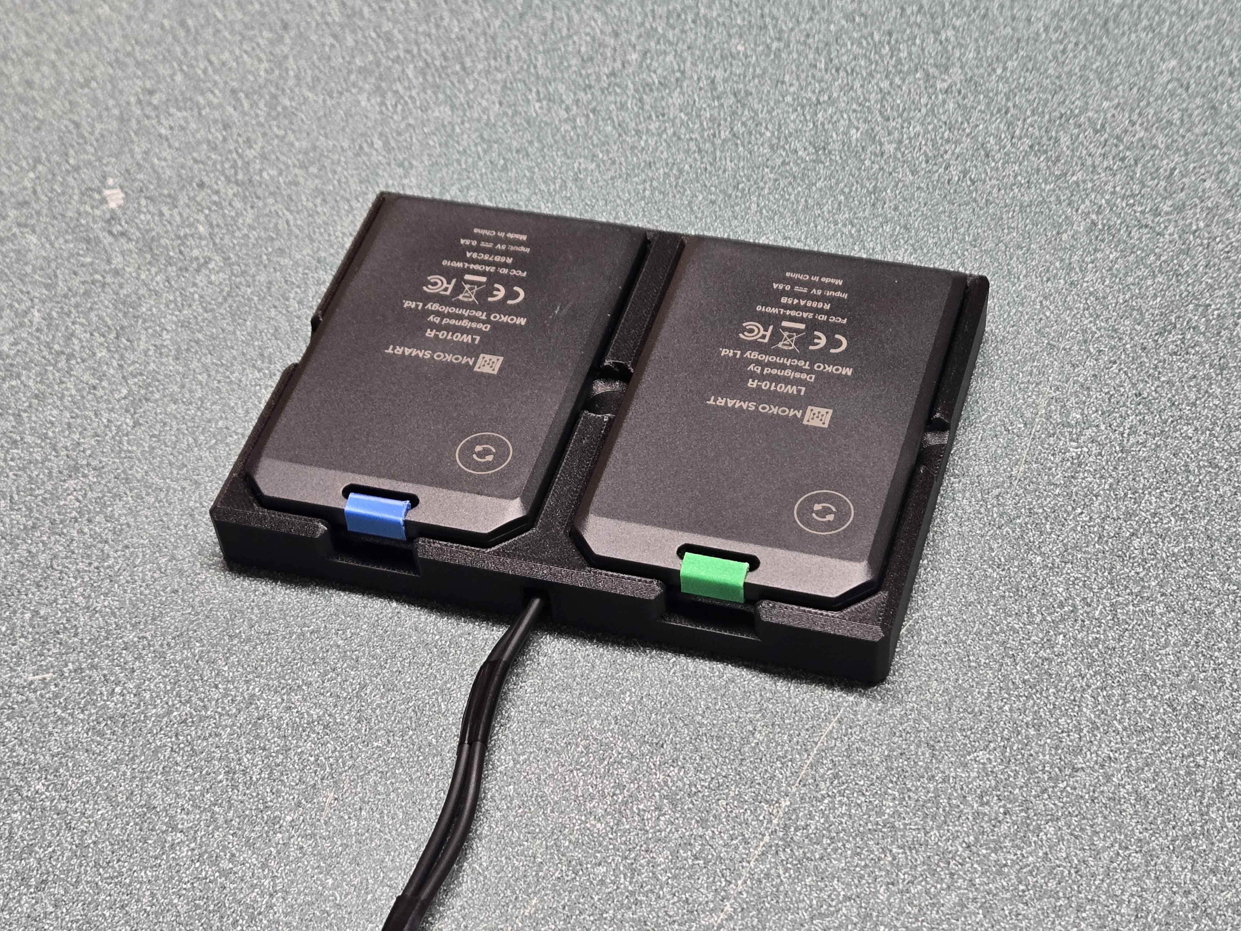 RAK WisMesh Tag Charging Dock - Dual Slot Edition