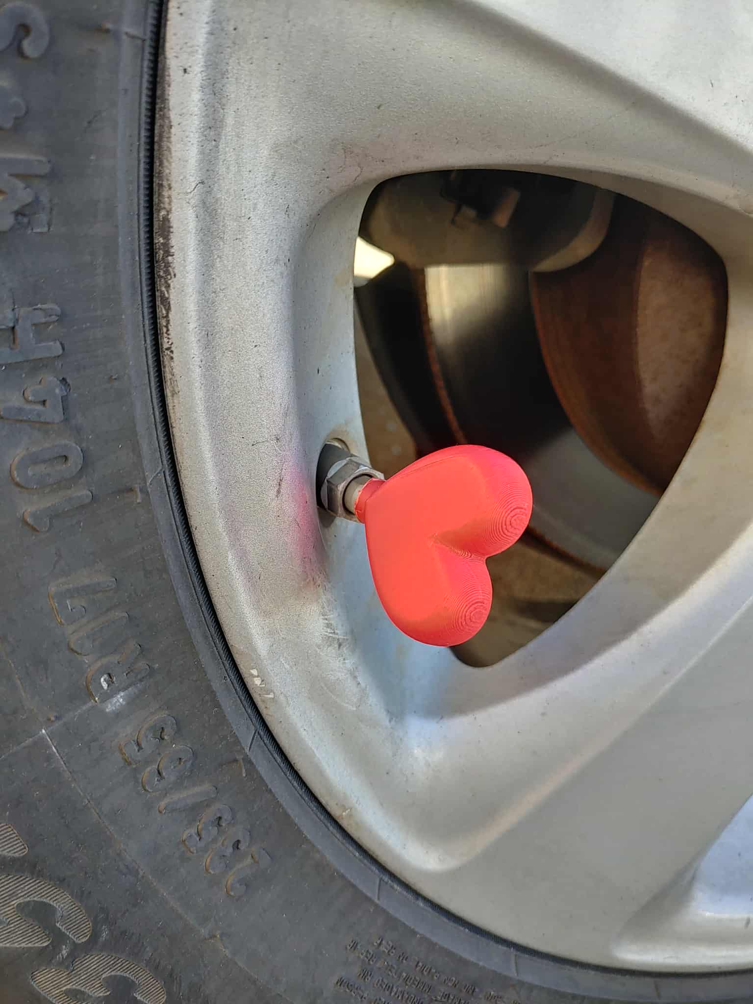 Heart Valve Cap Schrader