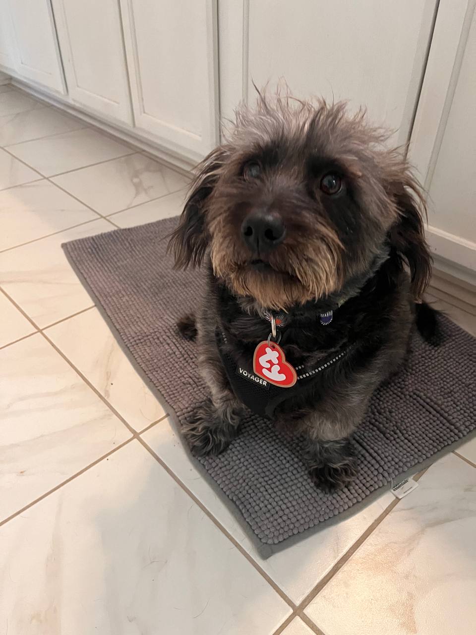 Beanie Baby Dog Tag — thumbnail 2