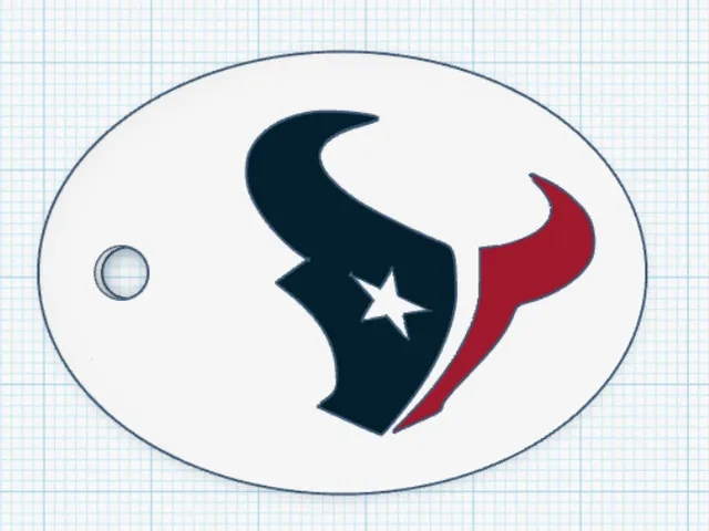 Texans Keychain