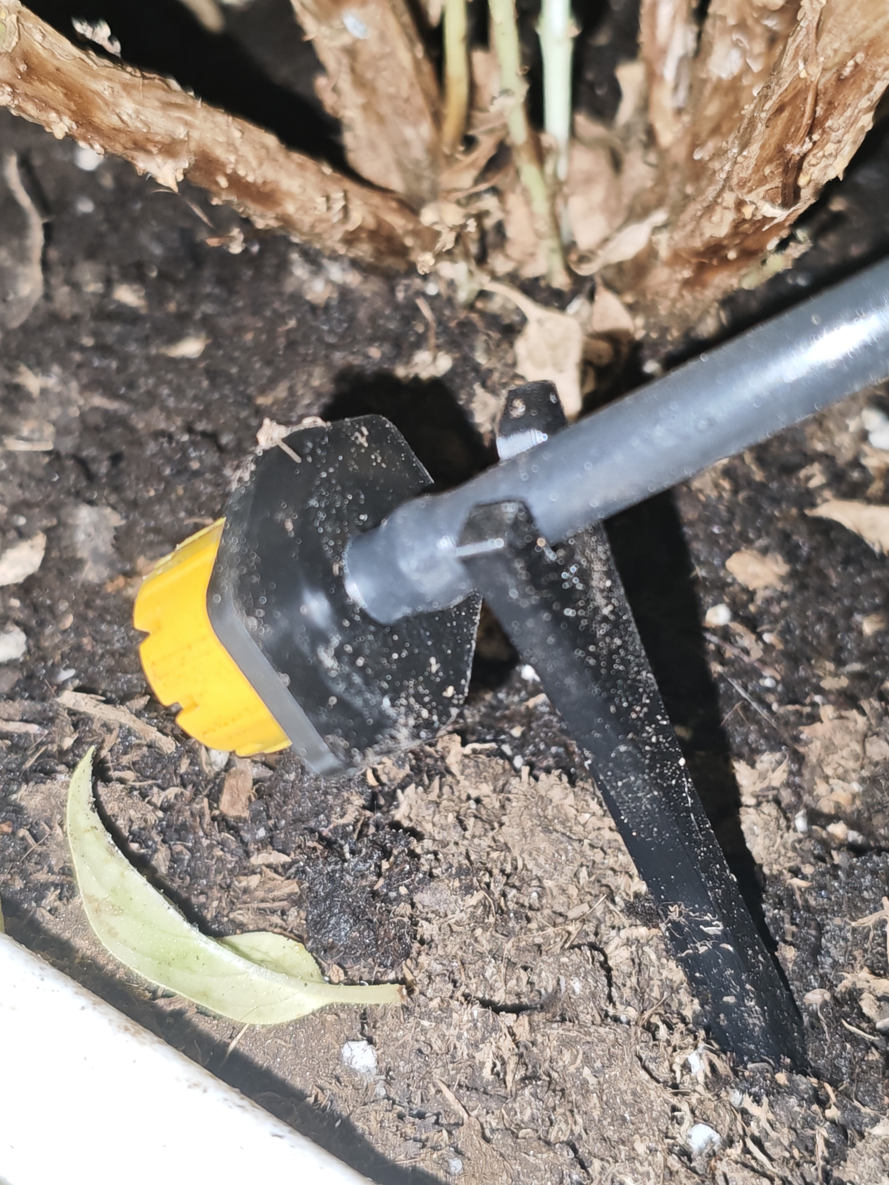 estaca riego jardin