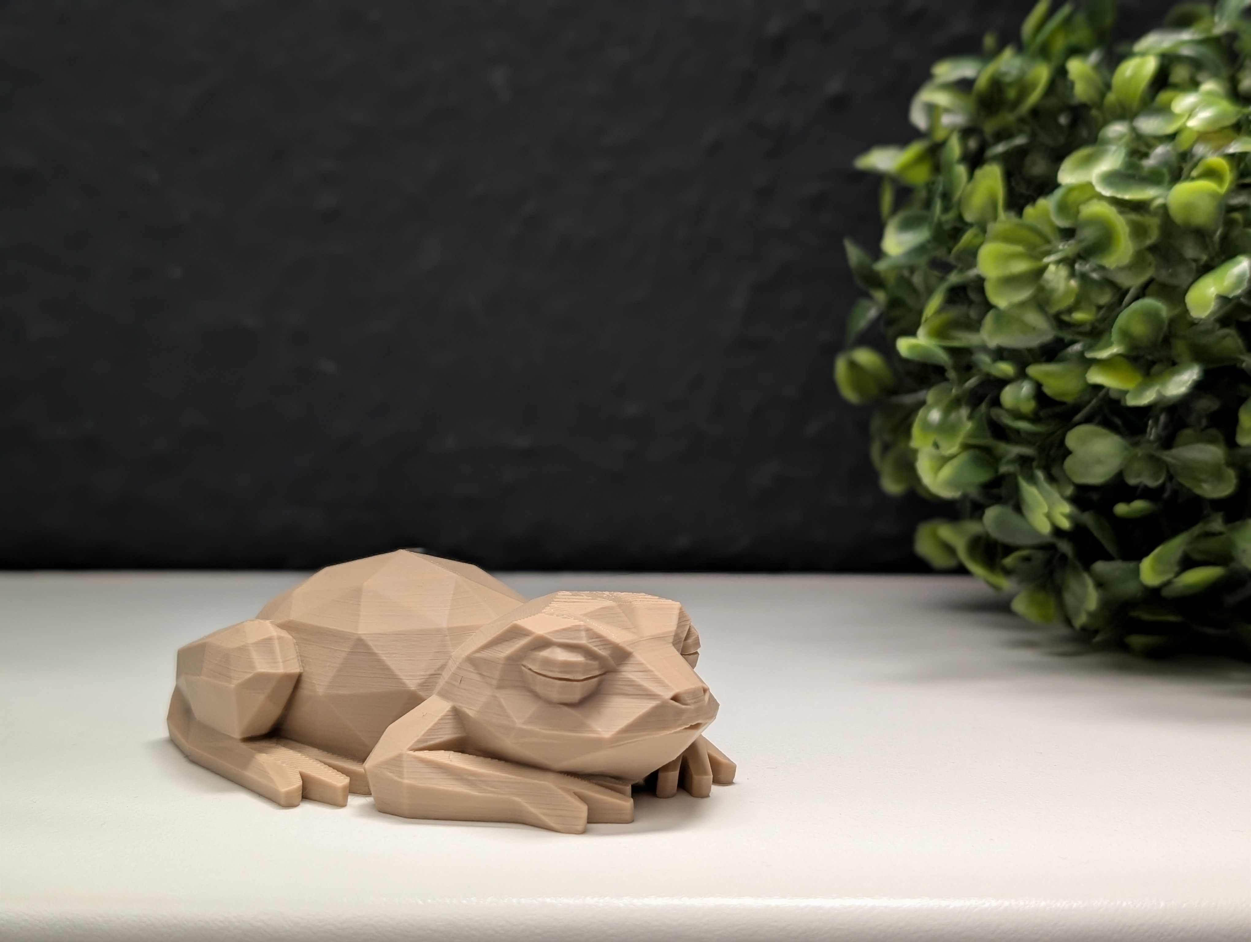 Miniatura 3 do modelo 3D Low Poly Sleeping Frog