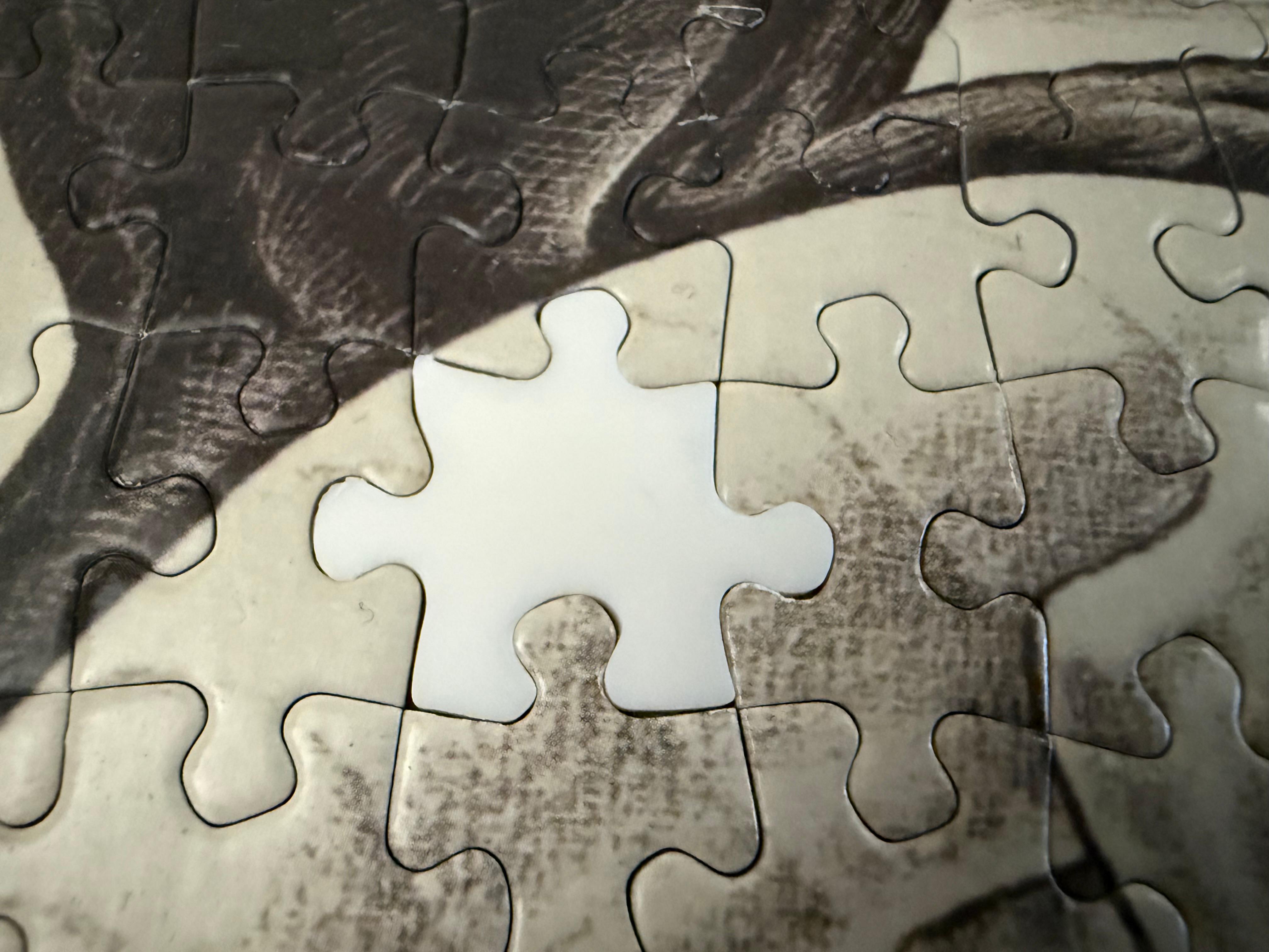 Puzzle piece for Escher puzzle