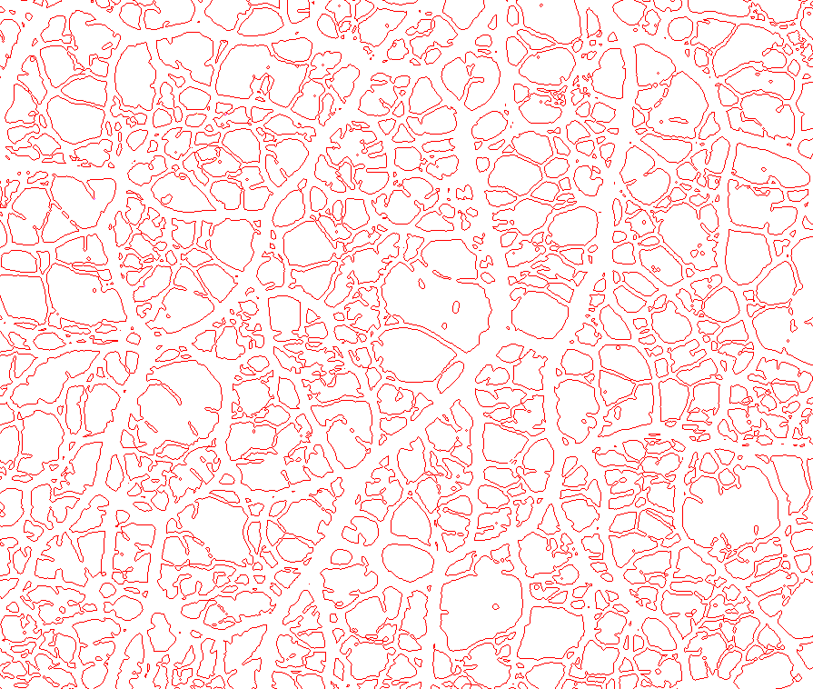 Slime Mold Textures — miniatura 2