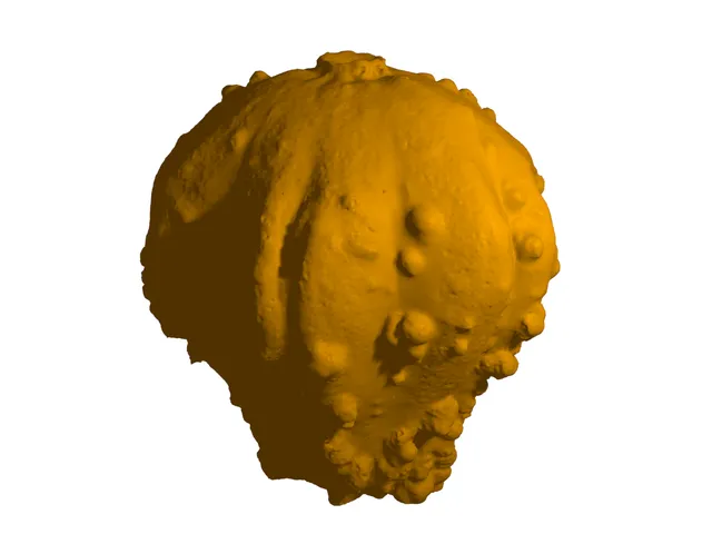 Pumpkin Knob for TH8S