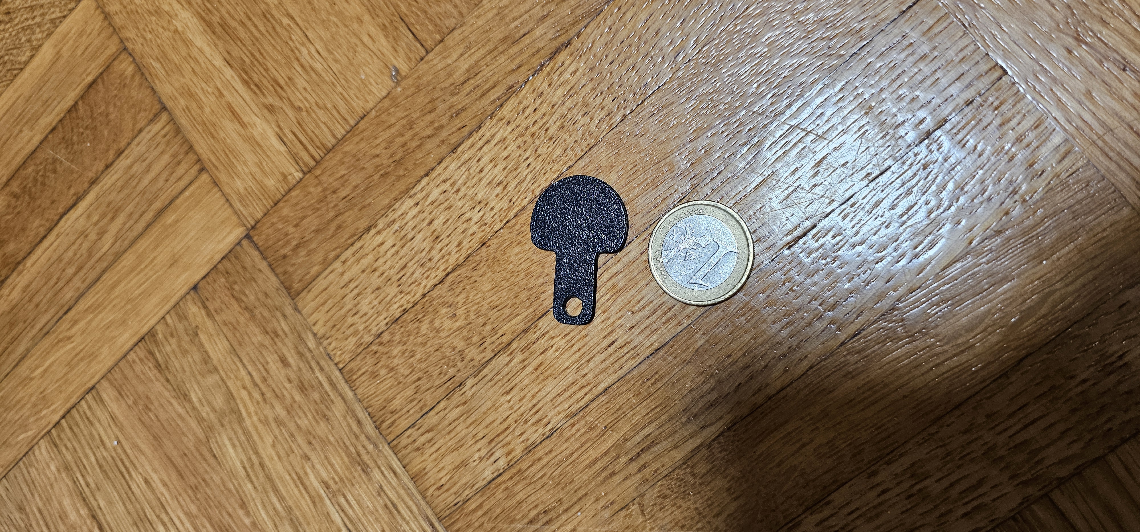 Cart Coin / Einkaufswagenchip